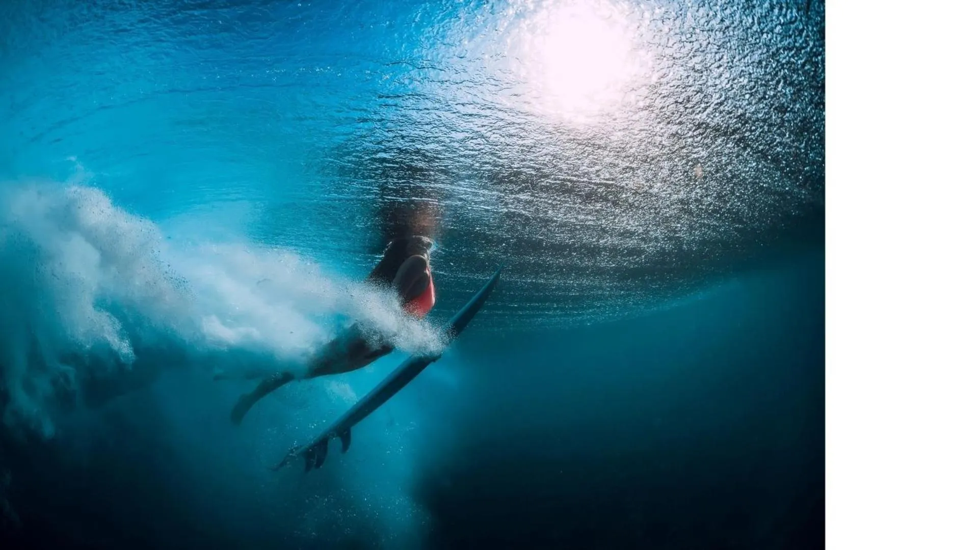 Beach in The Blue Hotel Bondi
