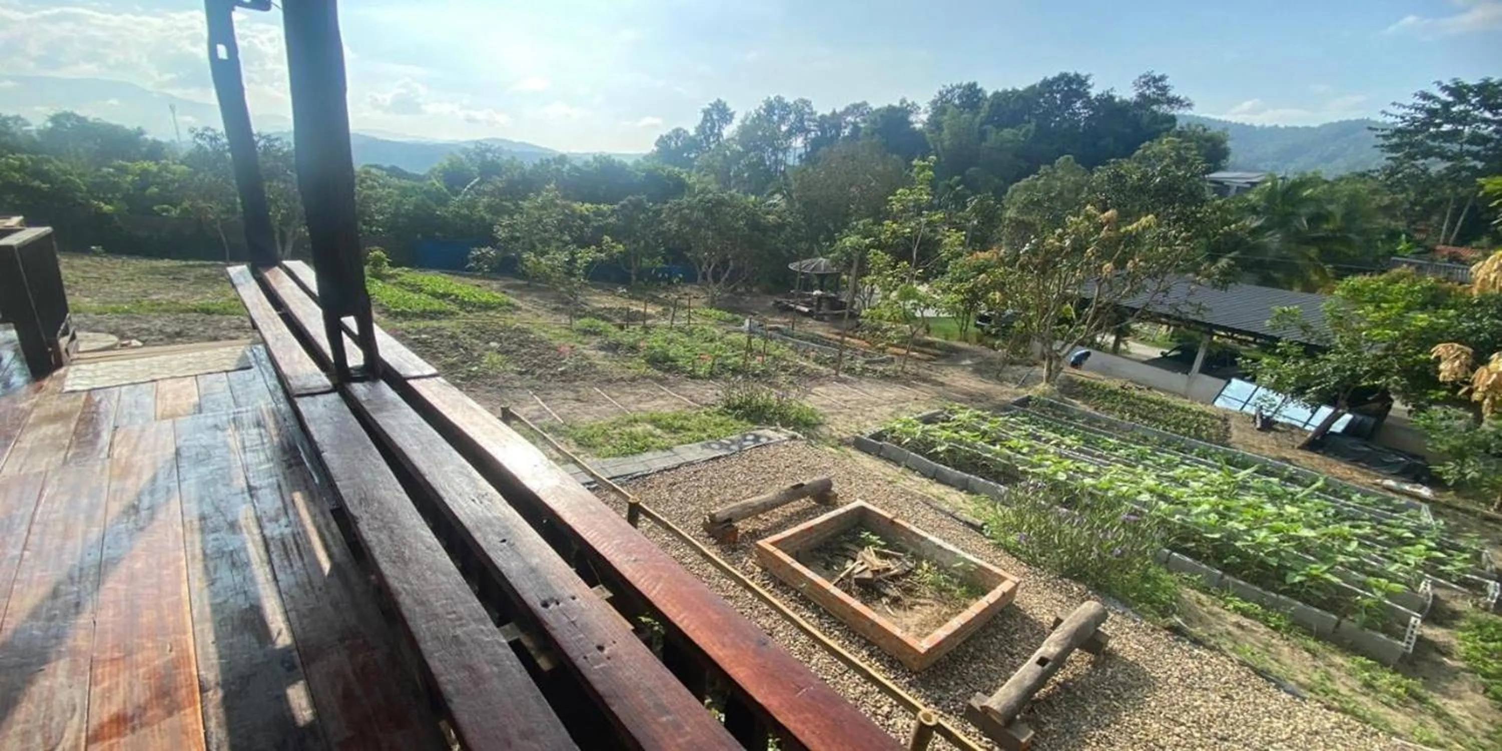 Garden view in Nokkamin Home Chiang Dao