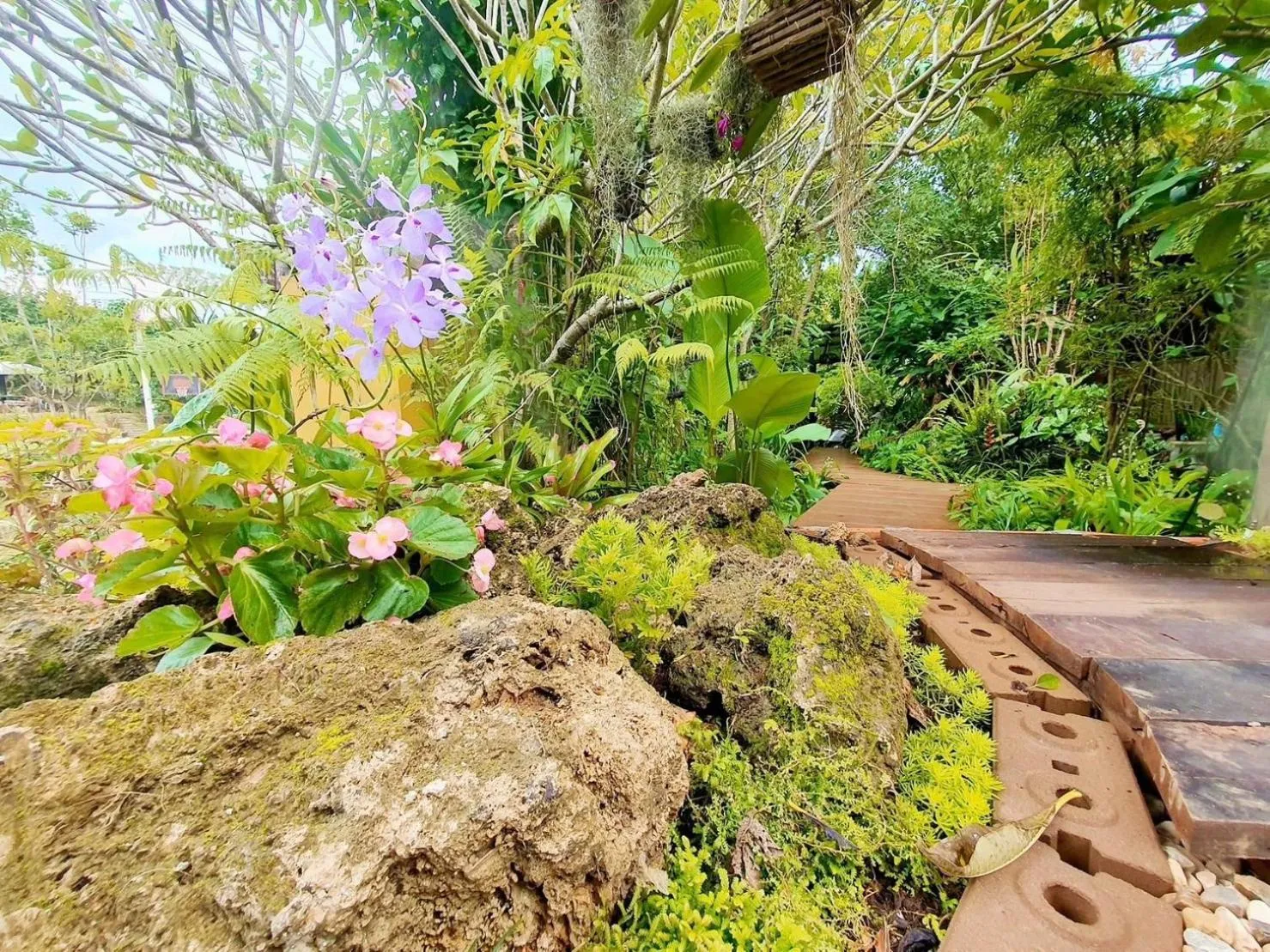 Garden in Nokkamin Home Chiang Dao