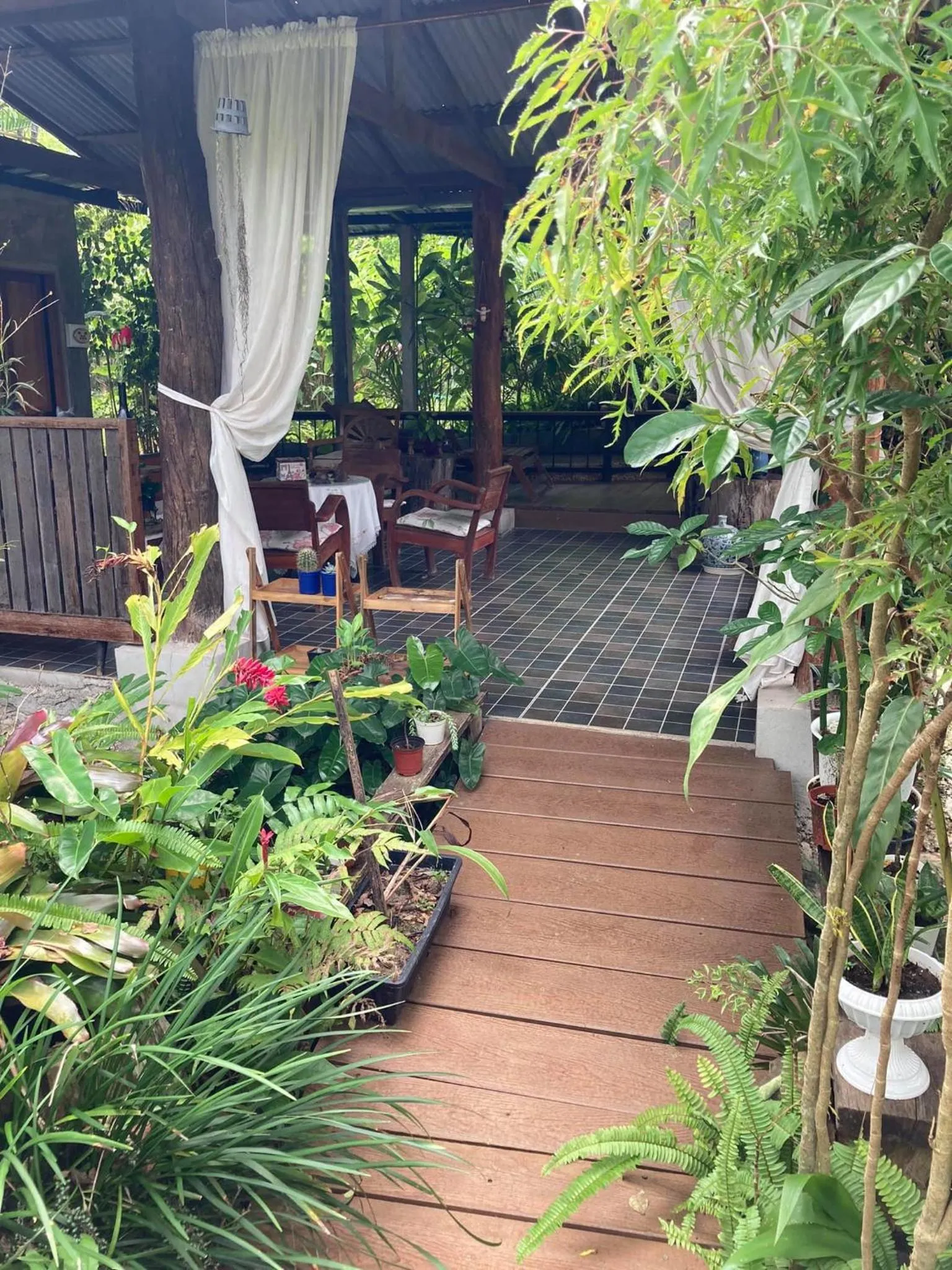 Garden in Nokkamin Home Chiang Dao