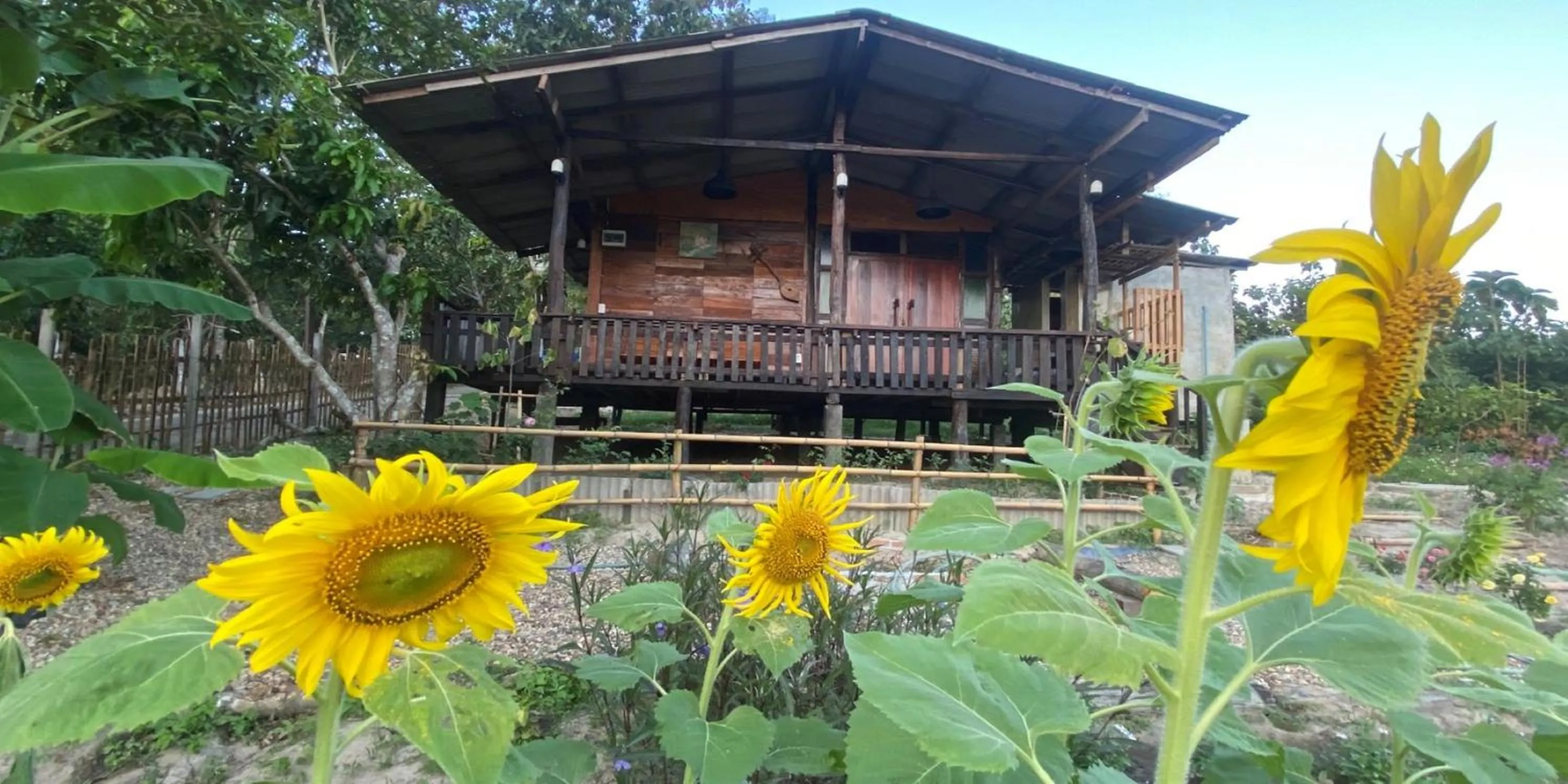 Property building in Nokkamin Home Chiang Dao
