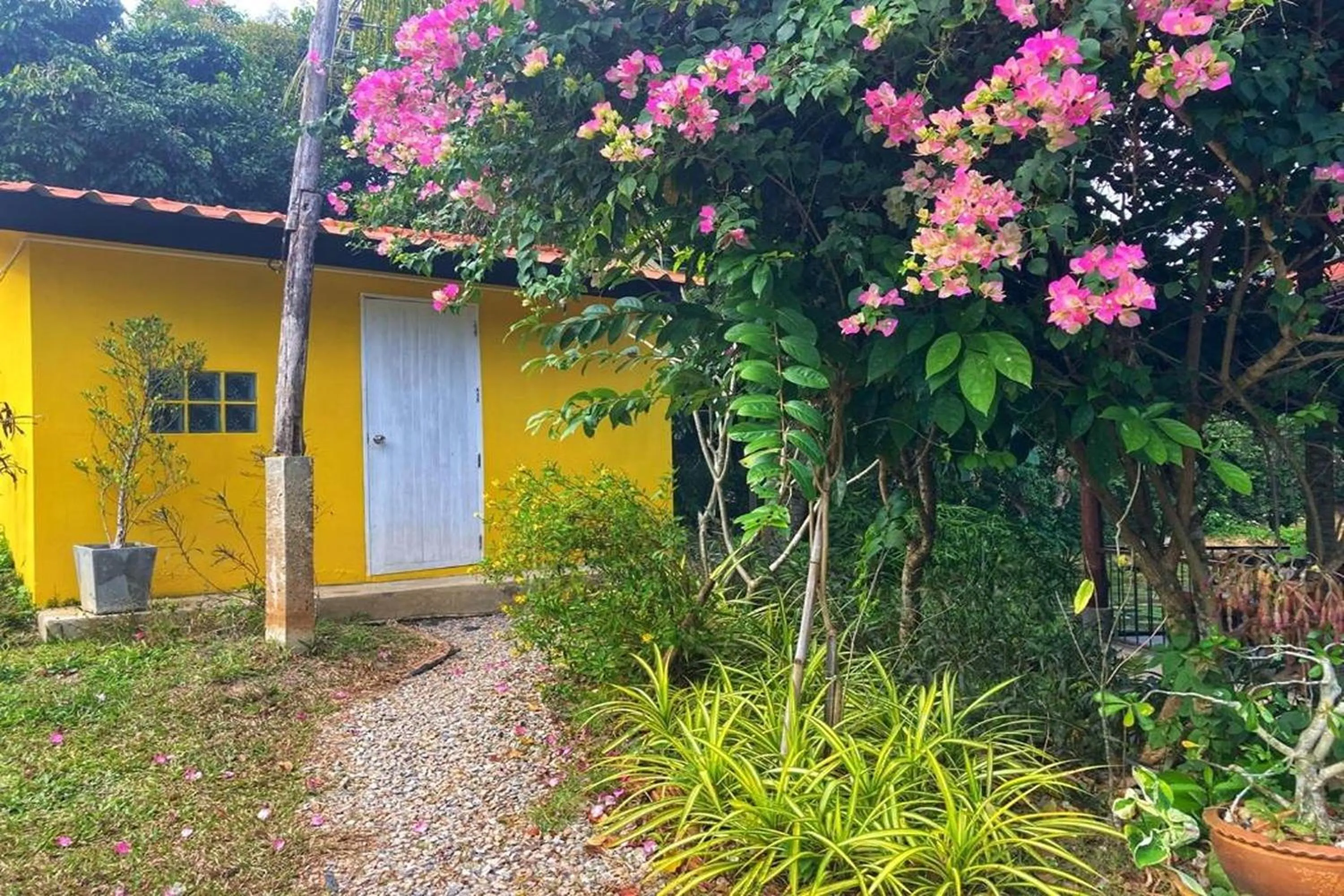 Property building in Nokkamin Home Chiang Dao