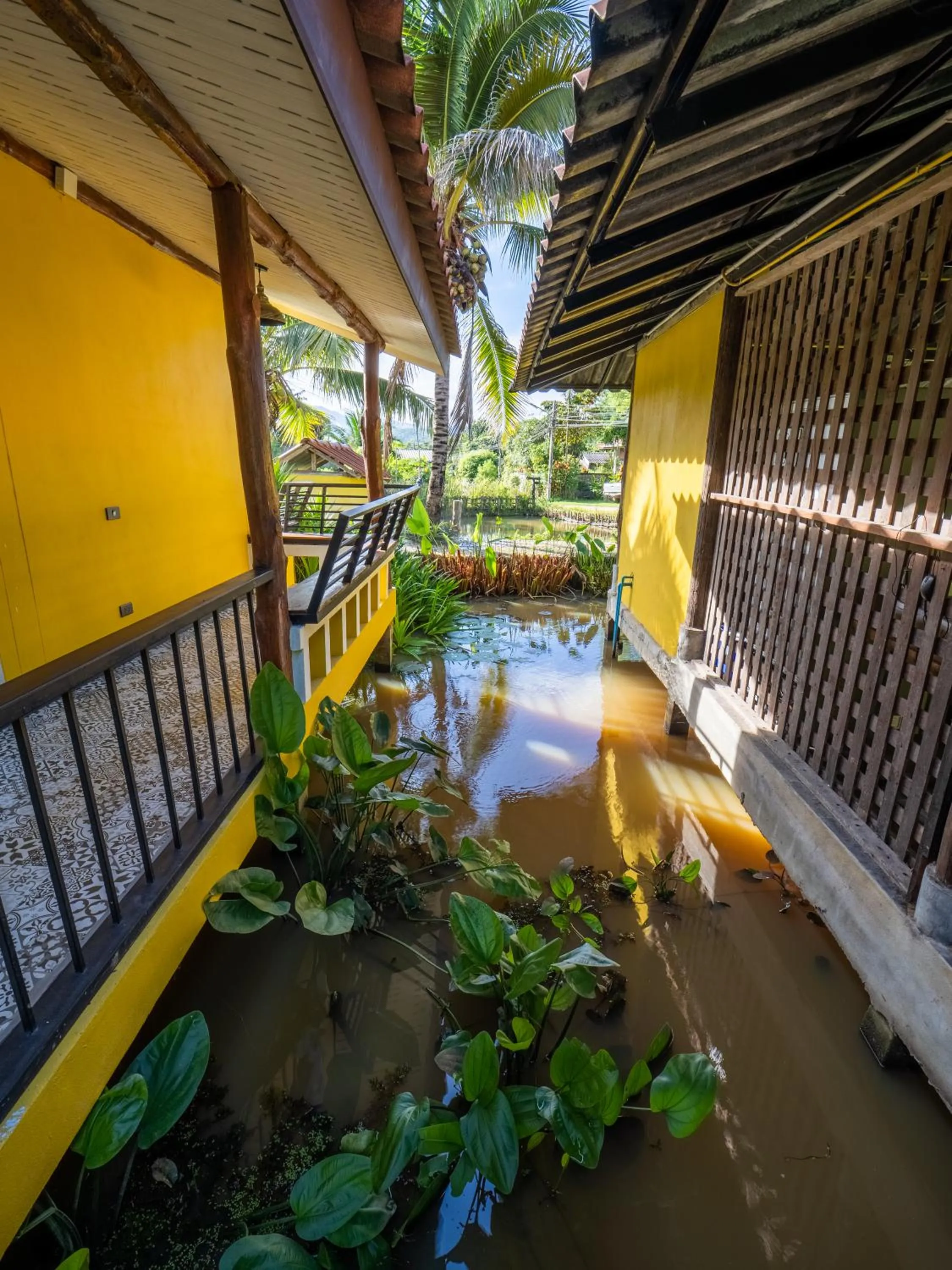 Balcony/Terrace in Nokkamin Home Chiang Dao