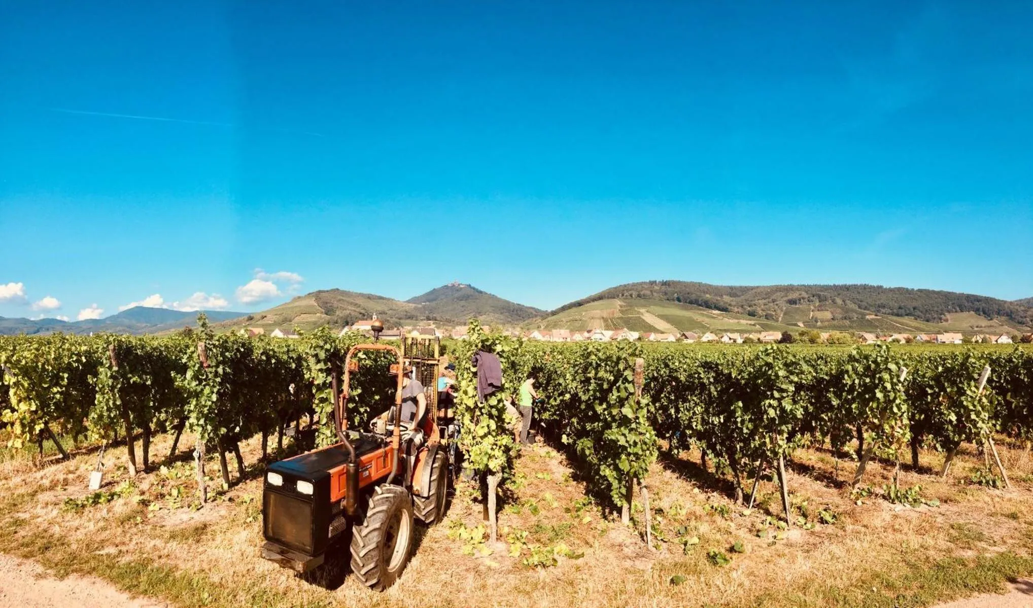 Neighbourhood in Chambres Thirion