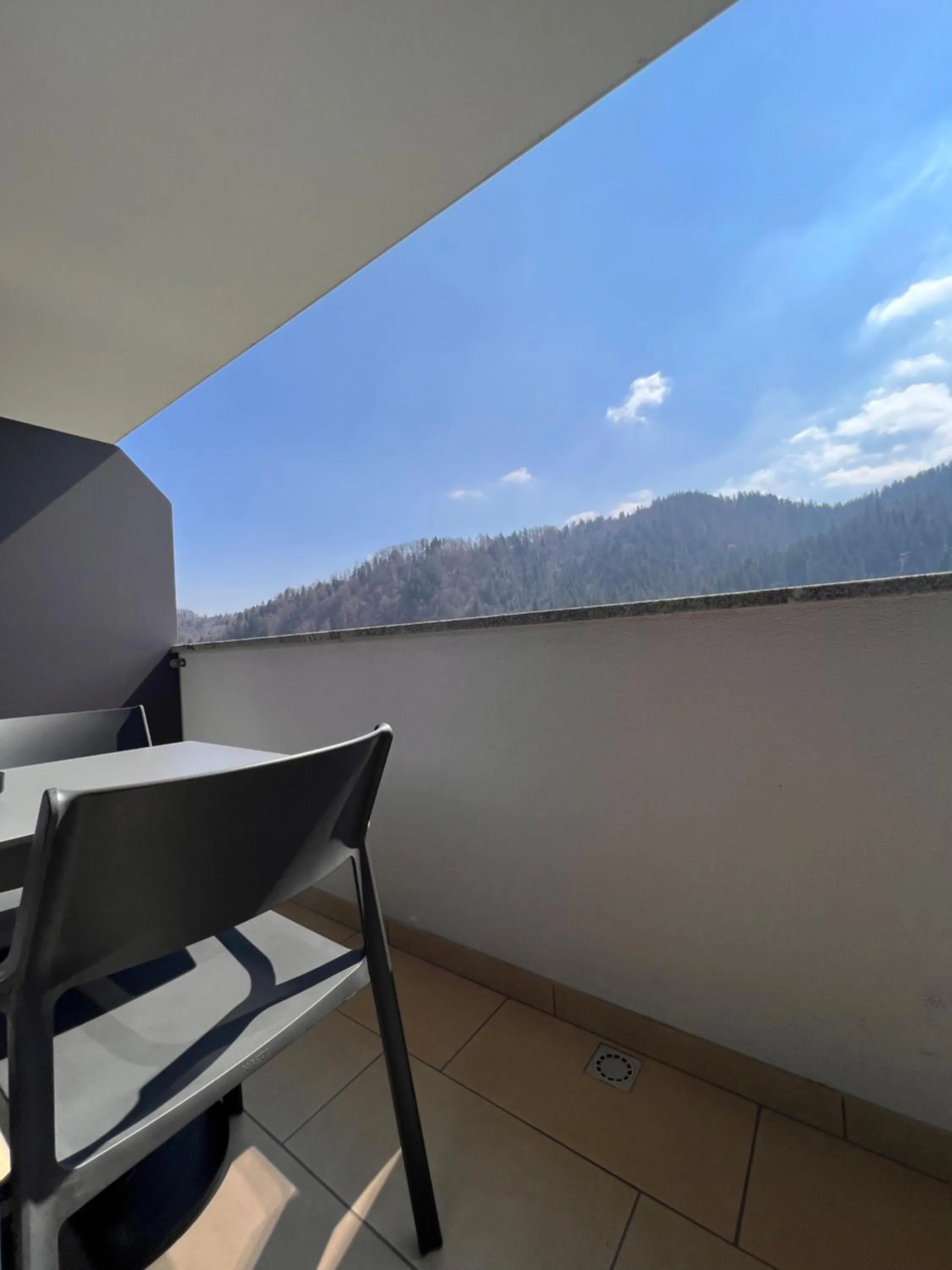 Balcony/Terrace in Na Vasi restavracija in prenočišča