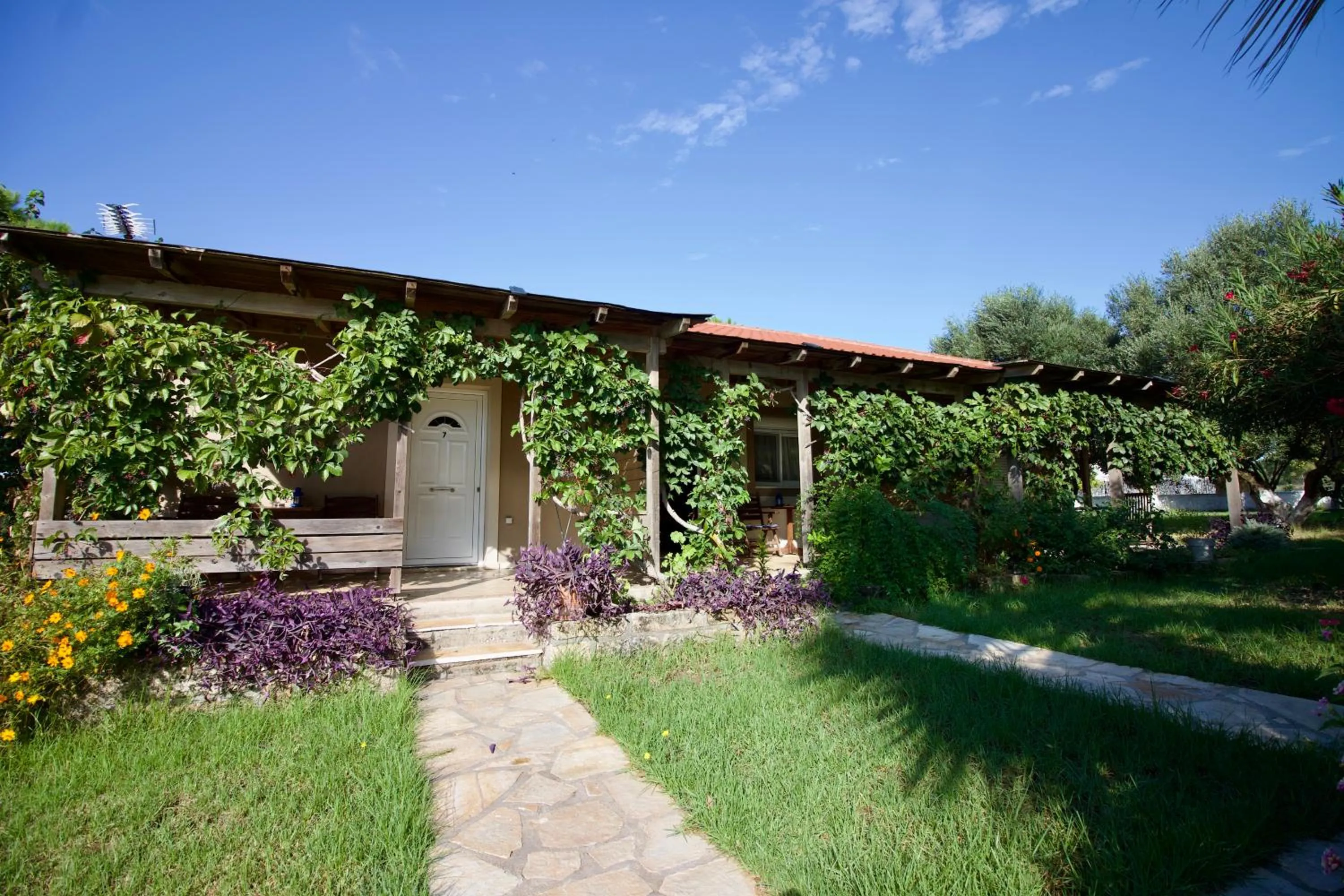 Property building in Aggelina's Apartments