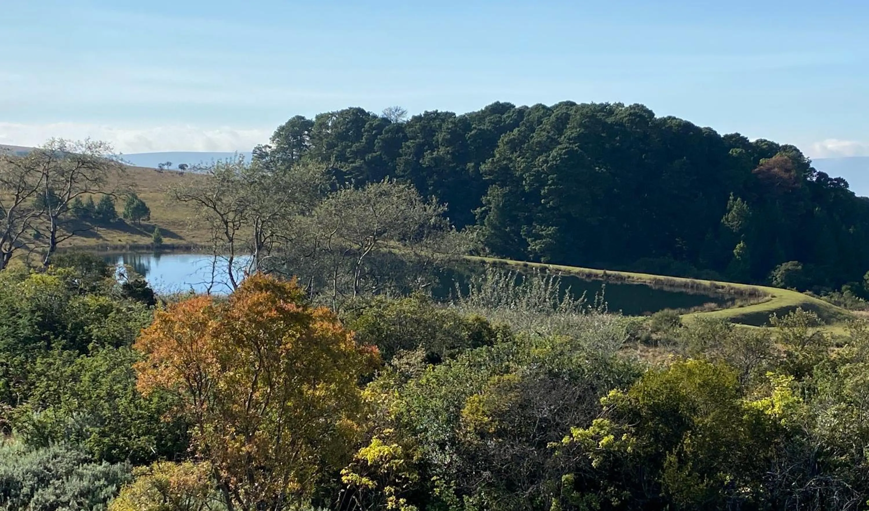 Amberley Mountain Reserve