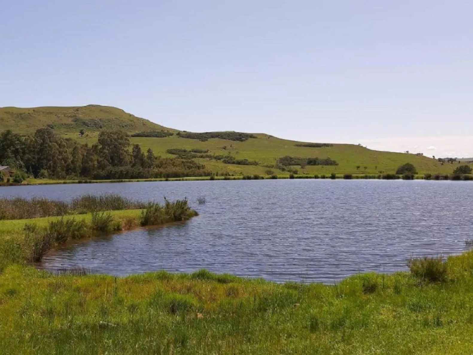 Natural landscape in Amberley Mountain Reserve