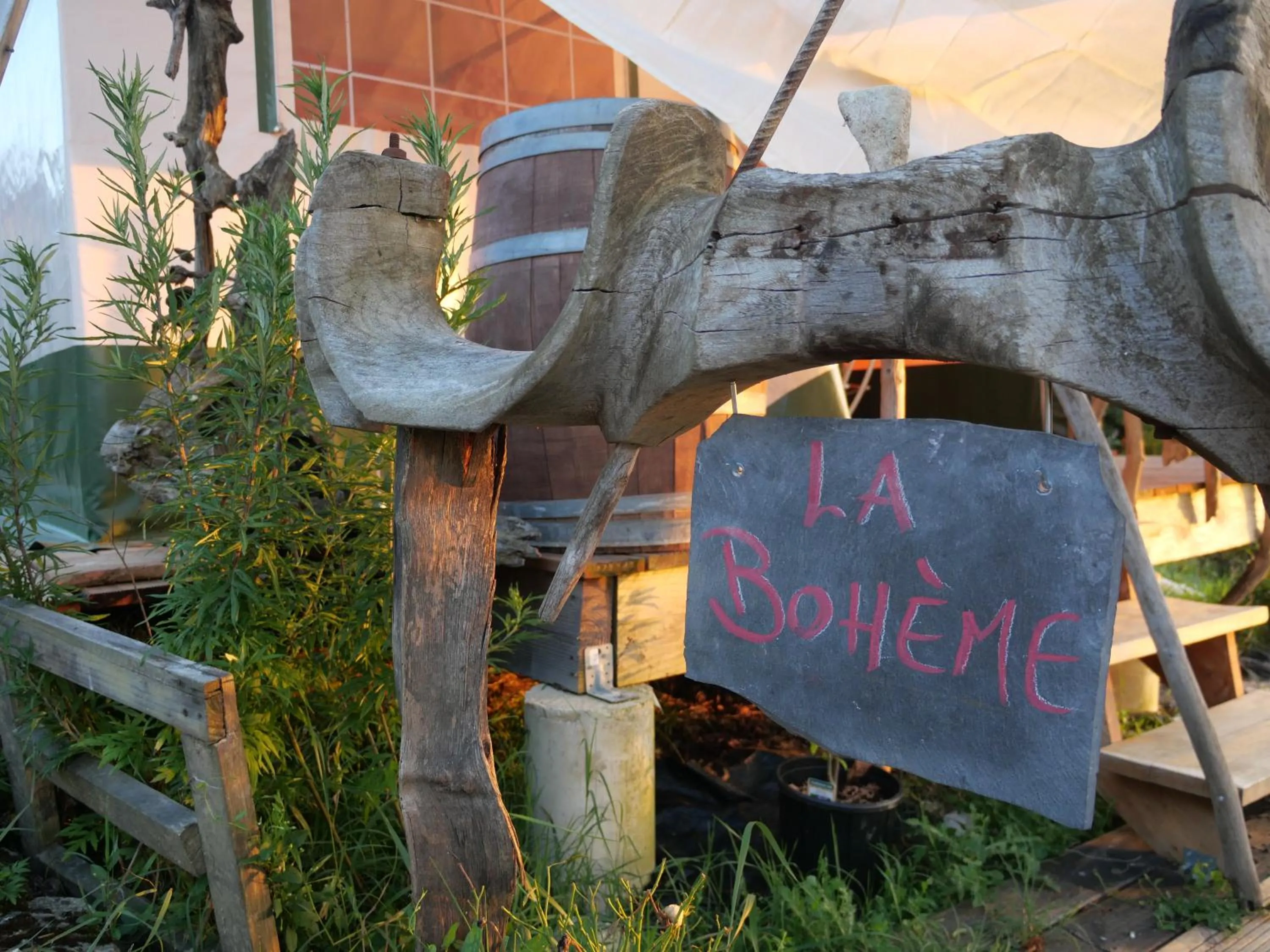 Garden in Maison Dougnac