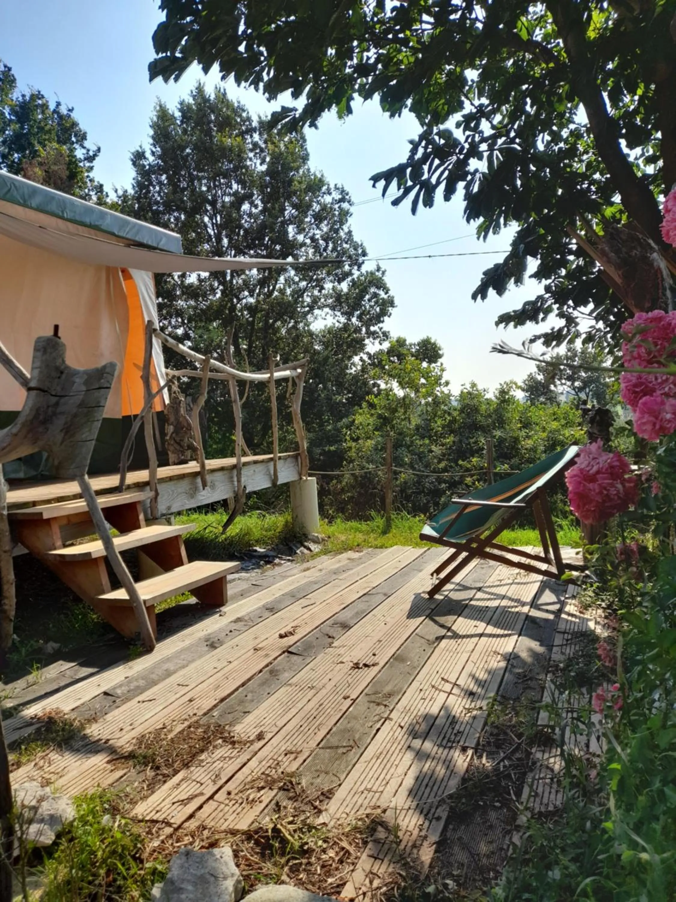 Garden view in Maison Dougnac