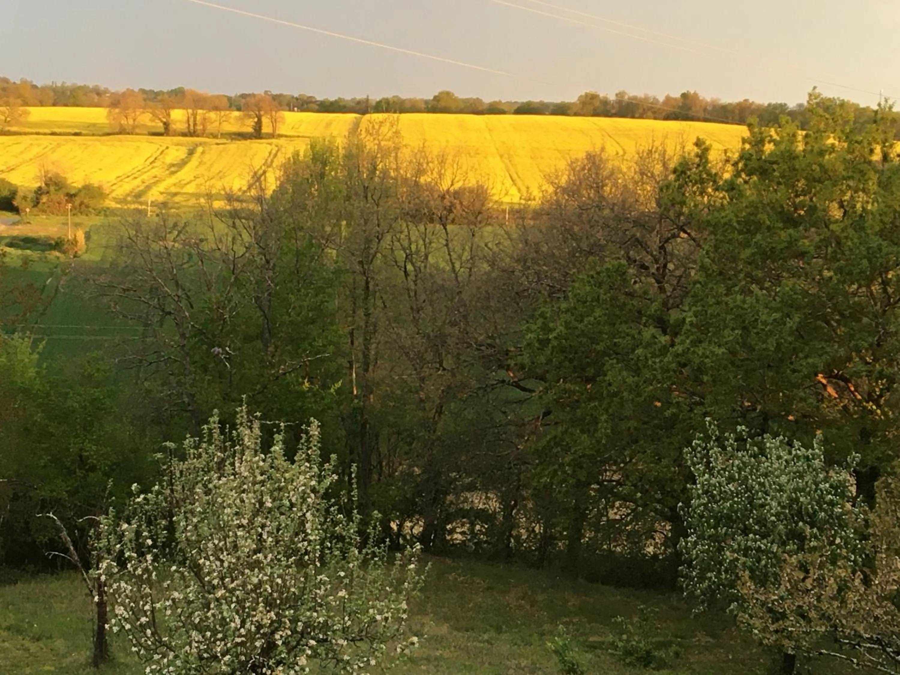 Garden in Maison Dougnac