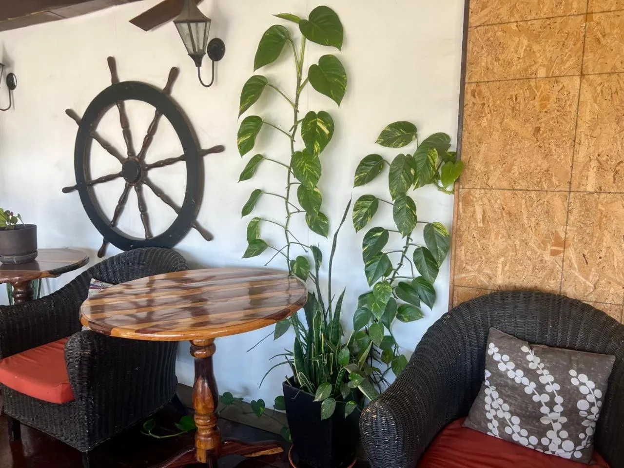 Cabo Tortuga Hotel Boutique