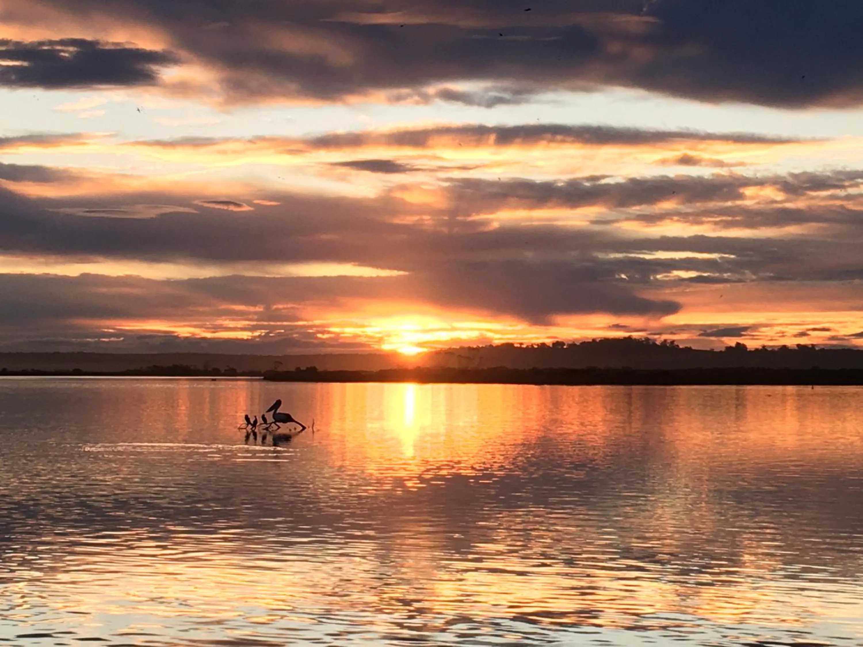 River view in Marlo Caravan Park & Motel
