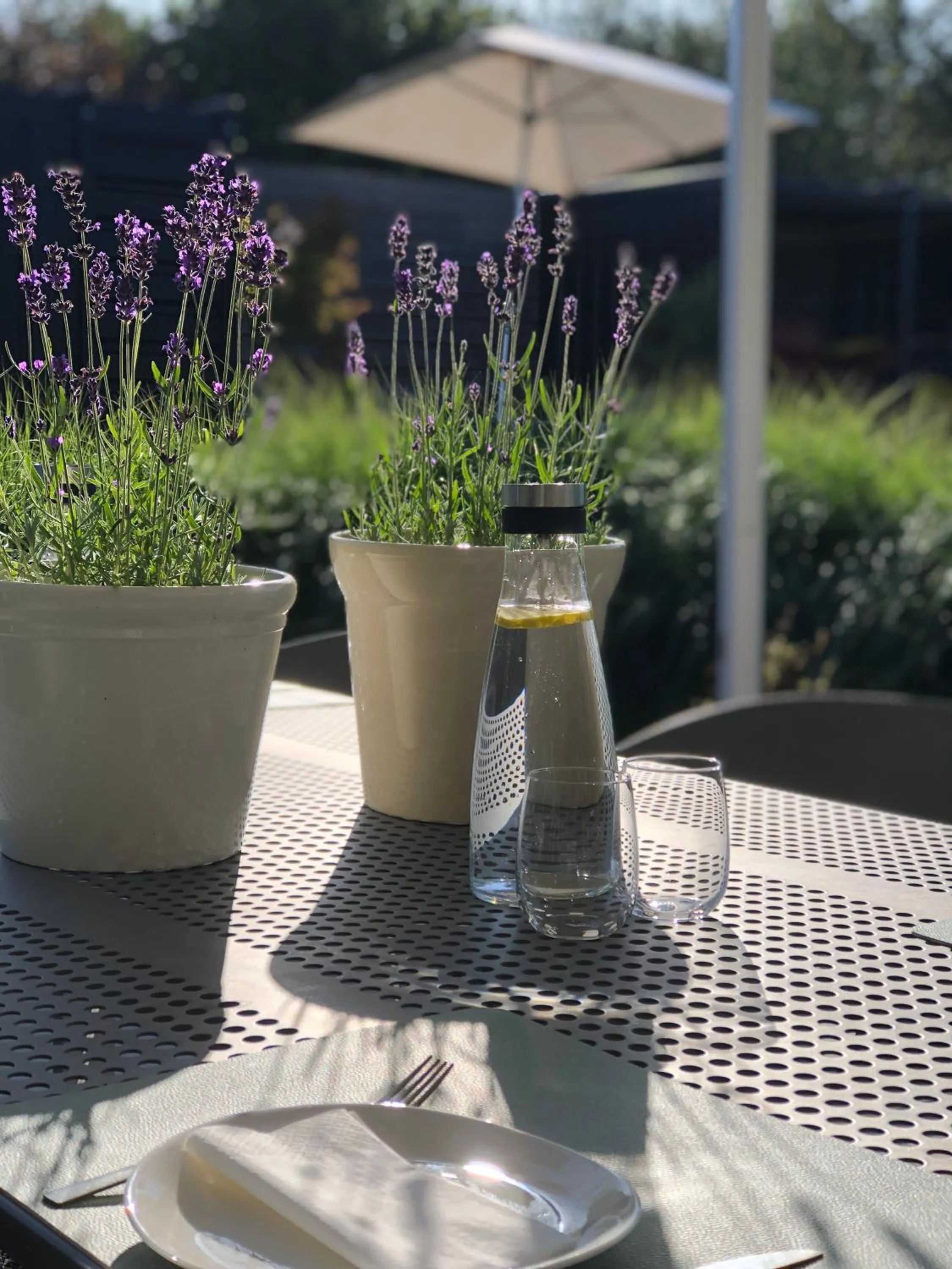 Garden view in BnB Manere