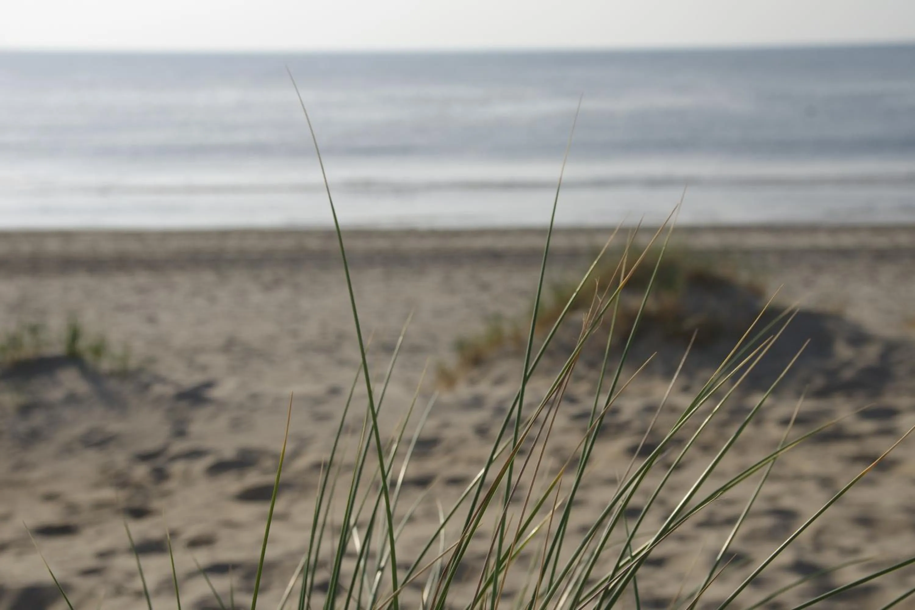 Beach in Hampton home B&B suites
