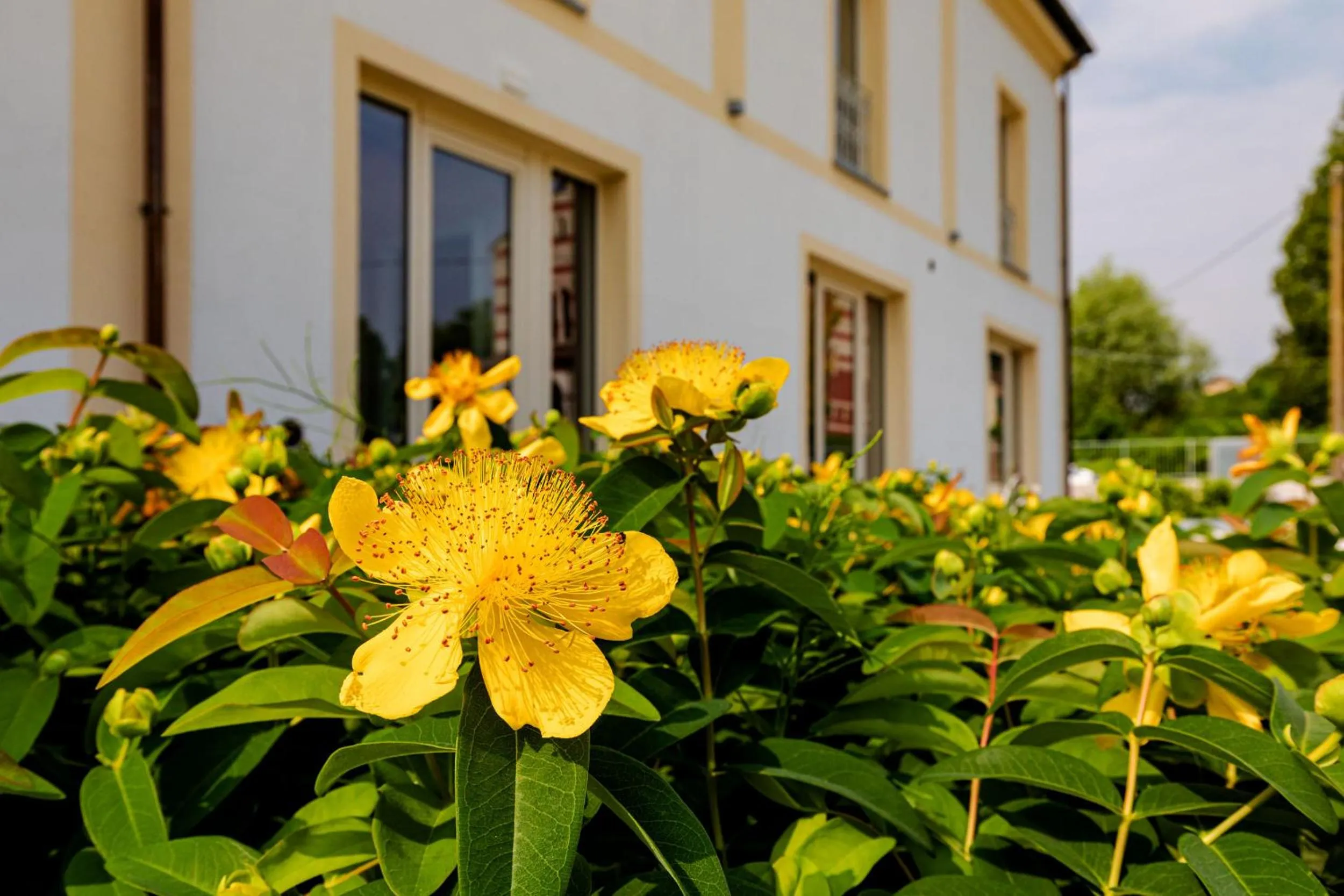 Property building in L'aja della Mirusina - Piedmont Resort Monferrato Langhe