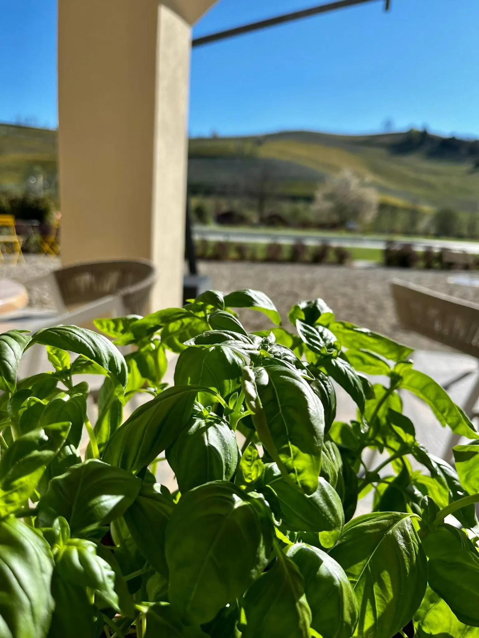 Restaurant/places to eat in L'aja della Mirusina - Piedmont Resort Monferrato Langhe