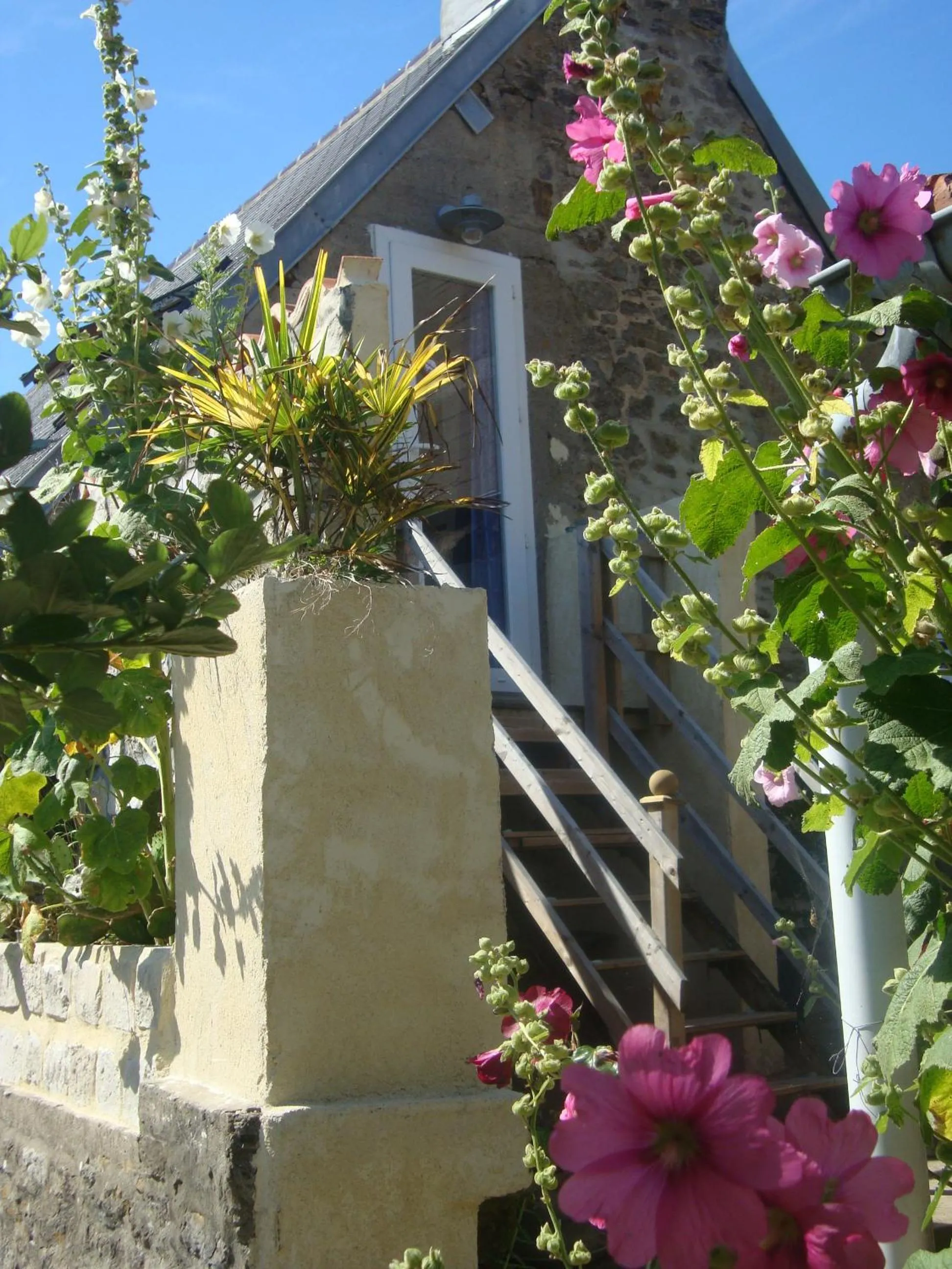 Facade/entrance in Studio "LA MEDINA", PISCINE dès le 12 juillet, JARDIN BOTANIQUE, COMMERCES &MER