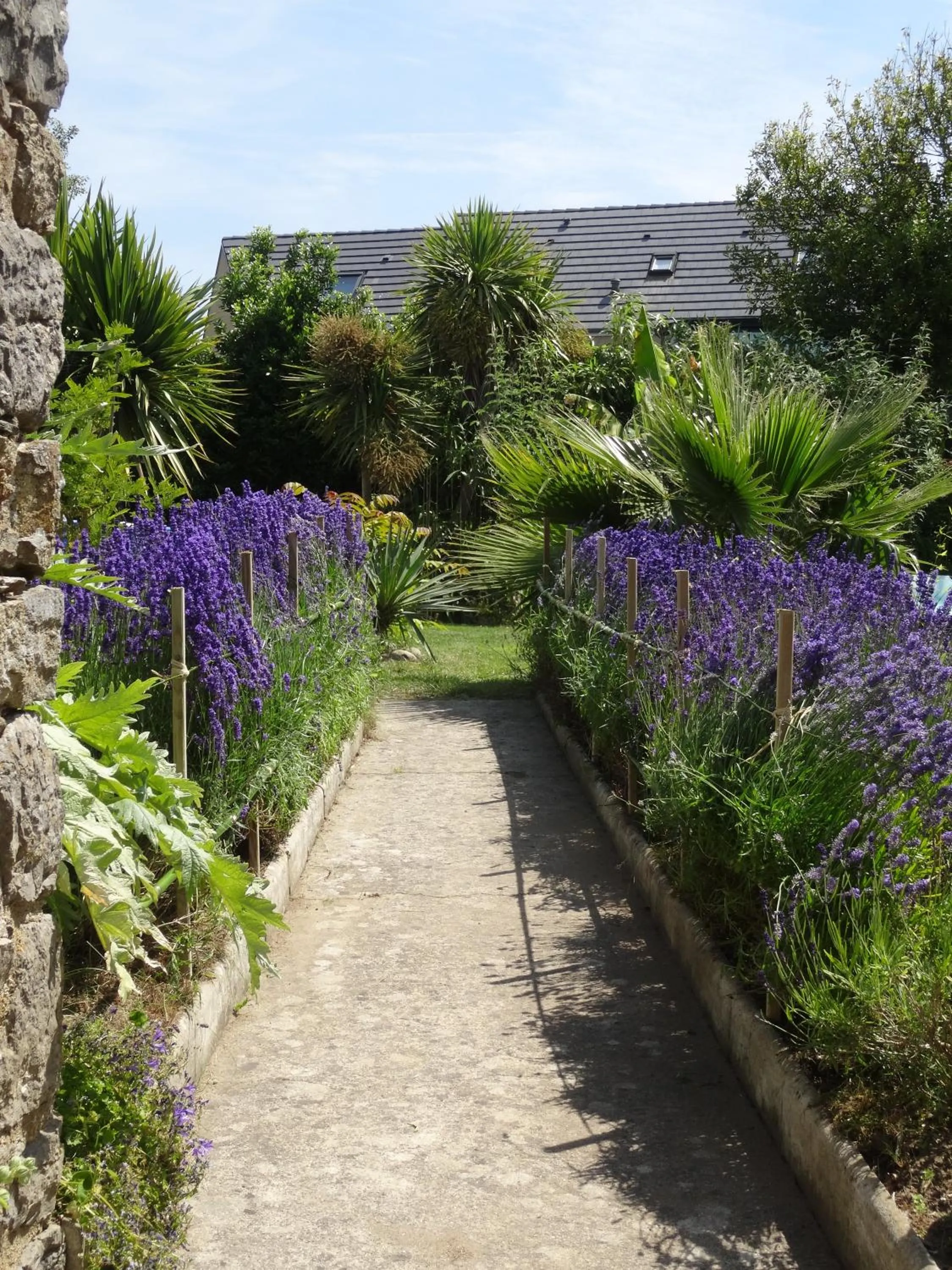 Garden in Studio "LA MEDINA", PISCINE dès le 12 juillet, JARDIN BOTANIQUE, COMMERCES &MER