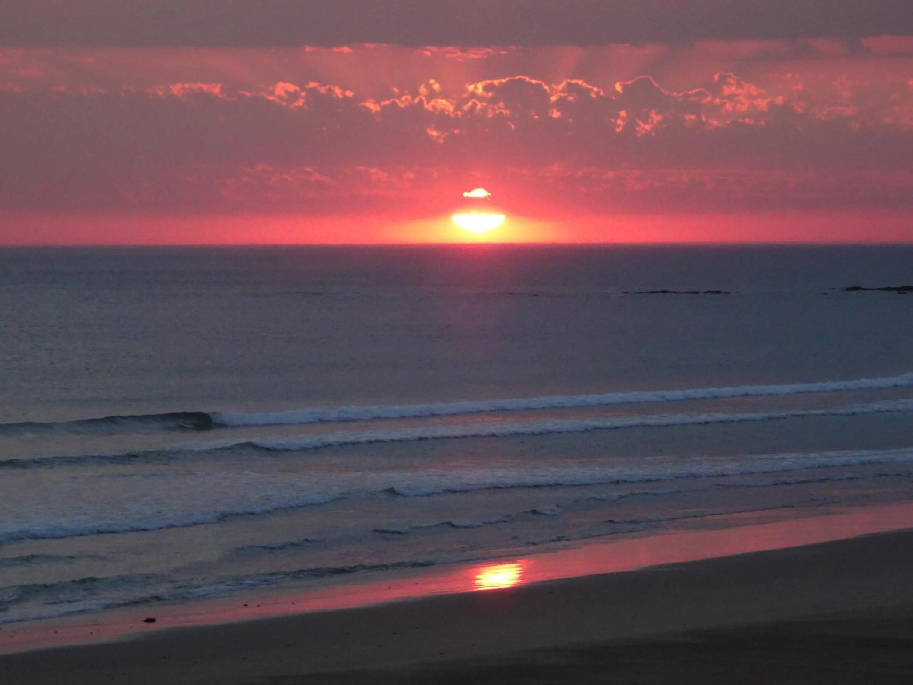 Natural landscape in Studio "LA MEDINA", PISCINE dès le 12 juillet, JARDIN BOTANIQUE, COMMERCES &MER