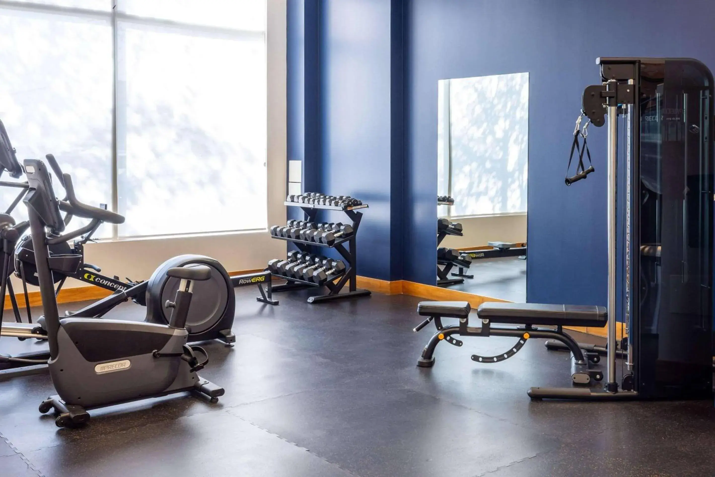 Fitness centre/facilities in Radisson Hotel & Conference Centre Calgary Airport Fitness centre/facilities in Radisson Hotel & Conference Centre Calgary Airport