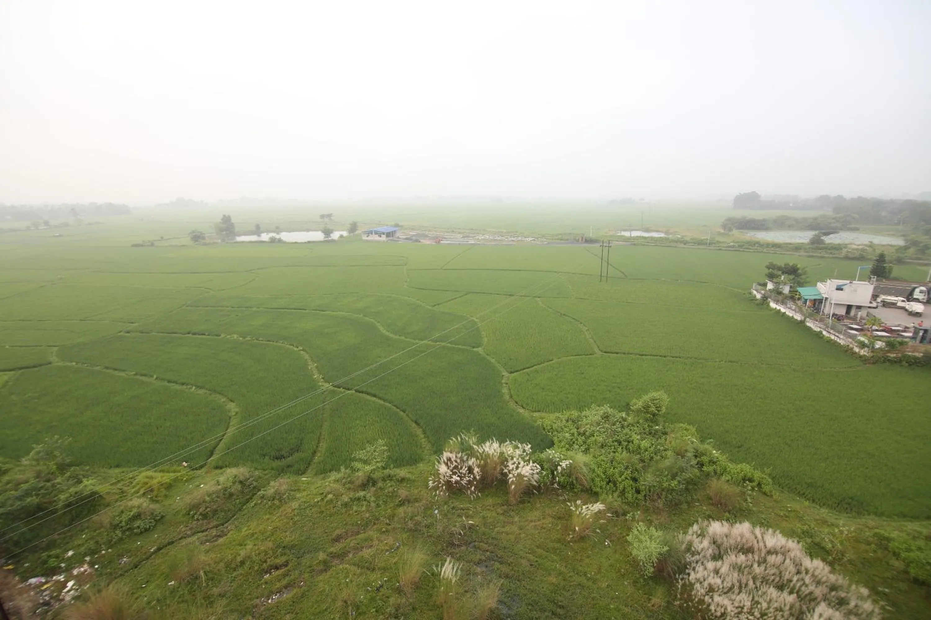 Garden view in ECONEST HOTEL