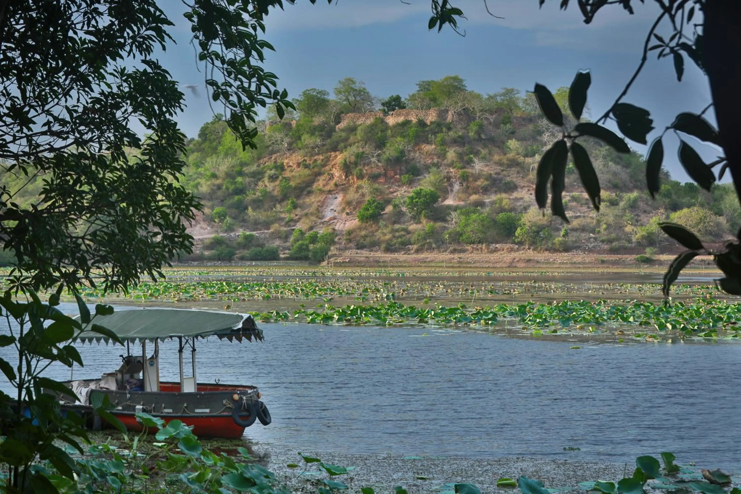 Property building in Pangarh Lake Retreat