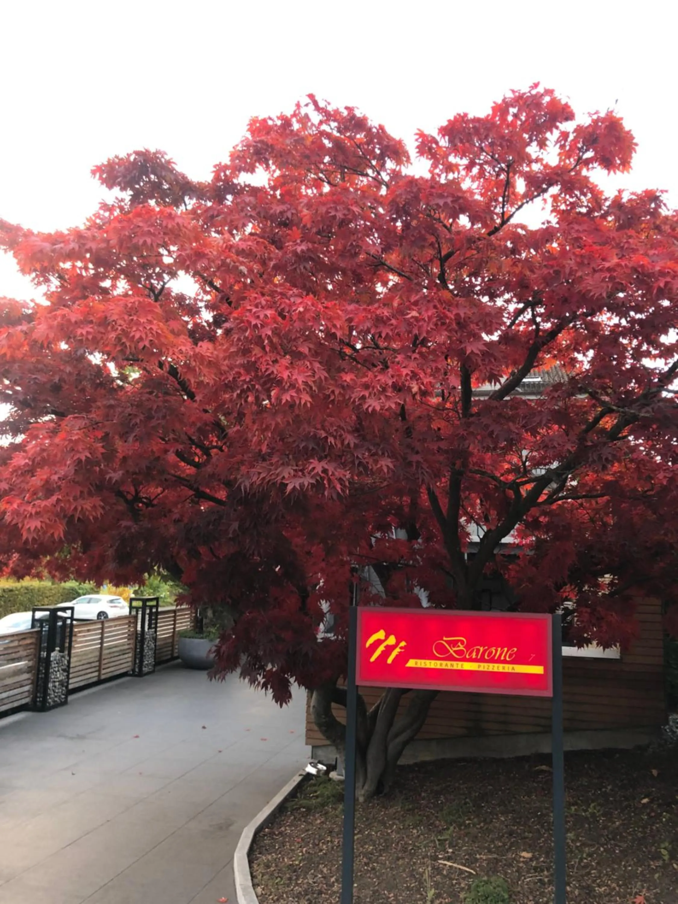 BARONE HOTEL RISTORANTE