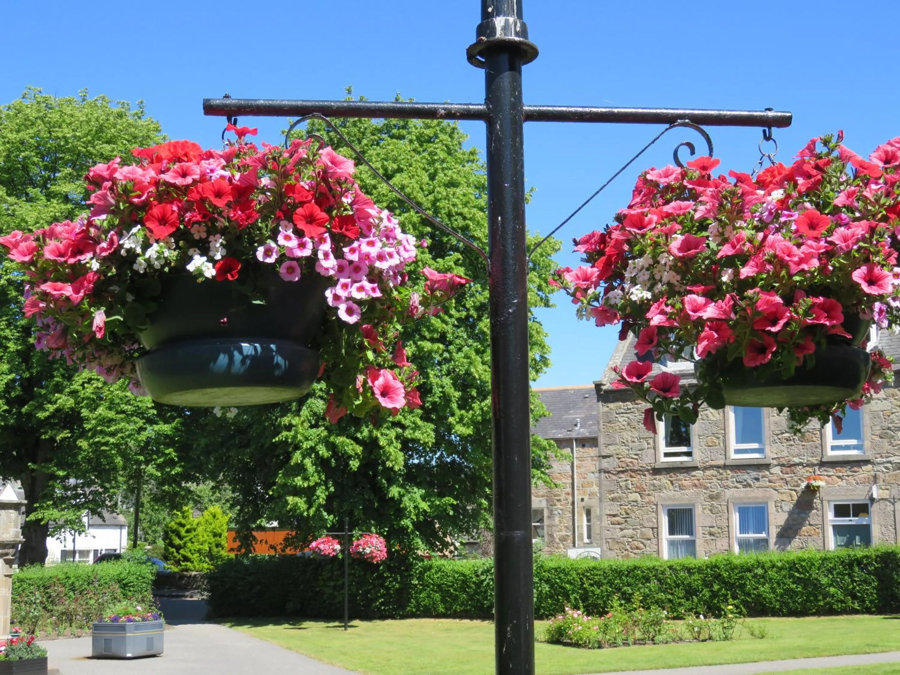 Garden in Bankhouse B&B