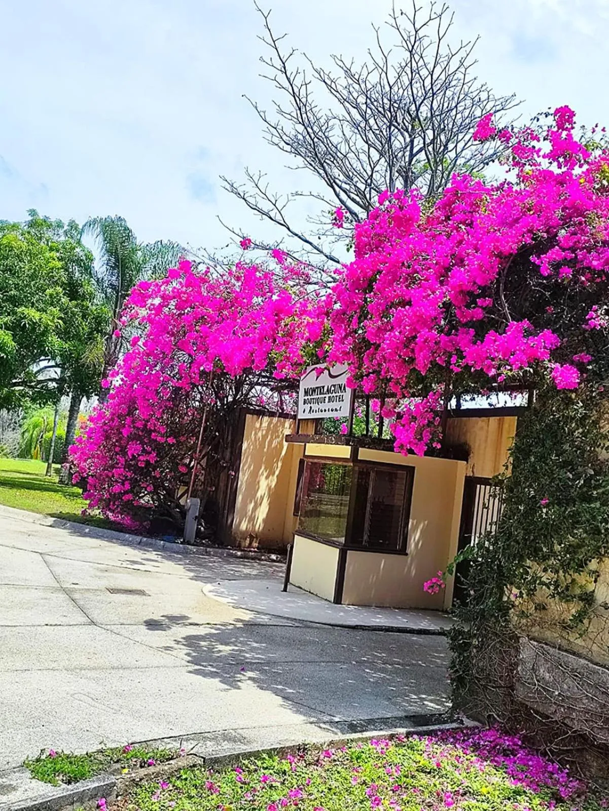 Montelaguna Boutique Hotel