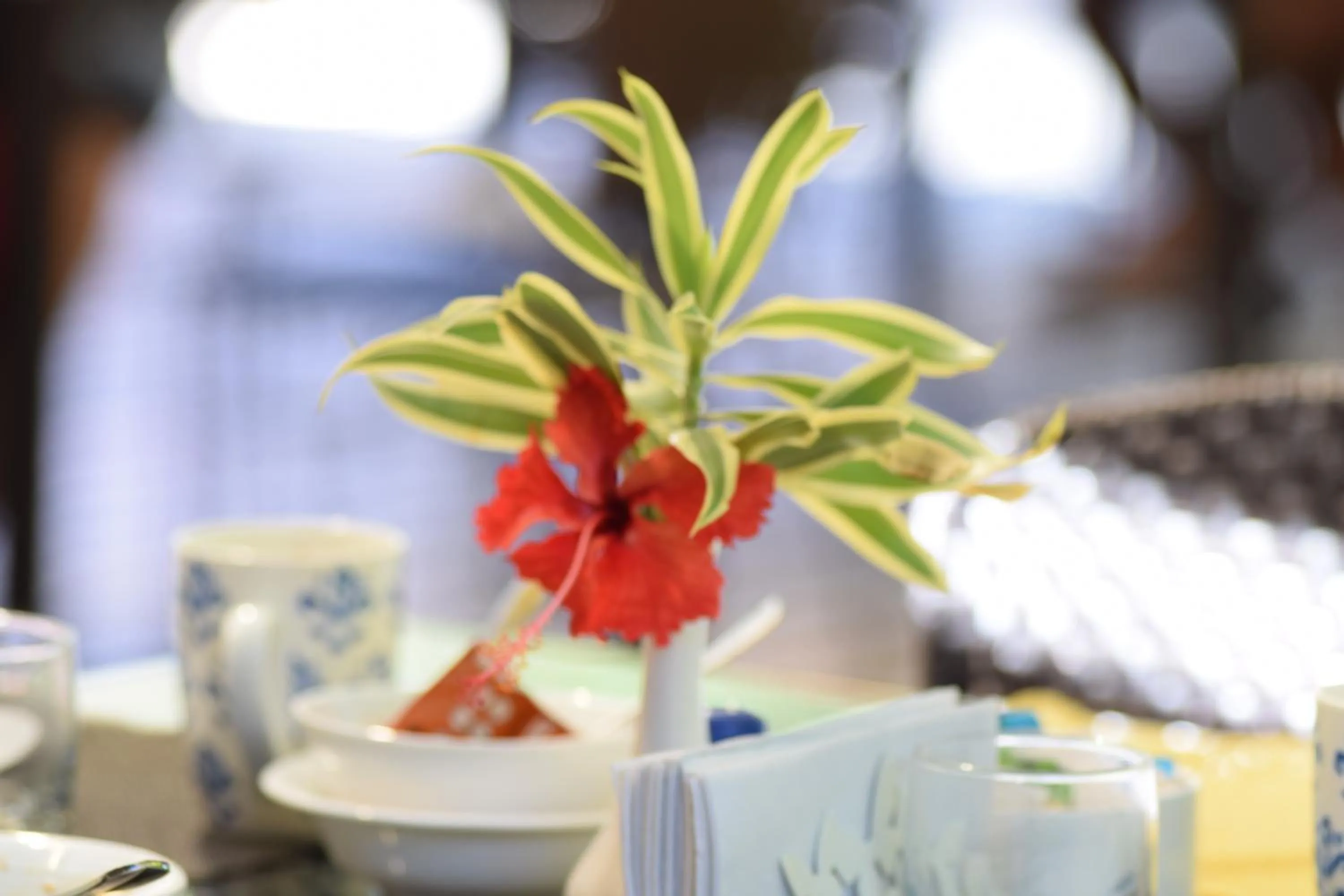 Restaurant/places to eat in Montelaguna Boutique Hotel