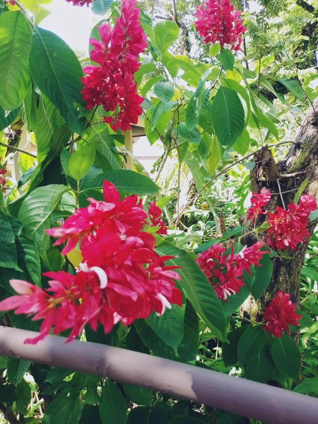 Montelaguna Boutique Hotel