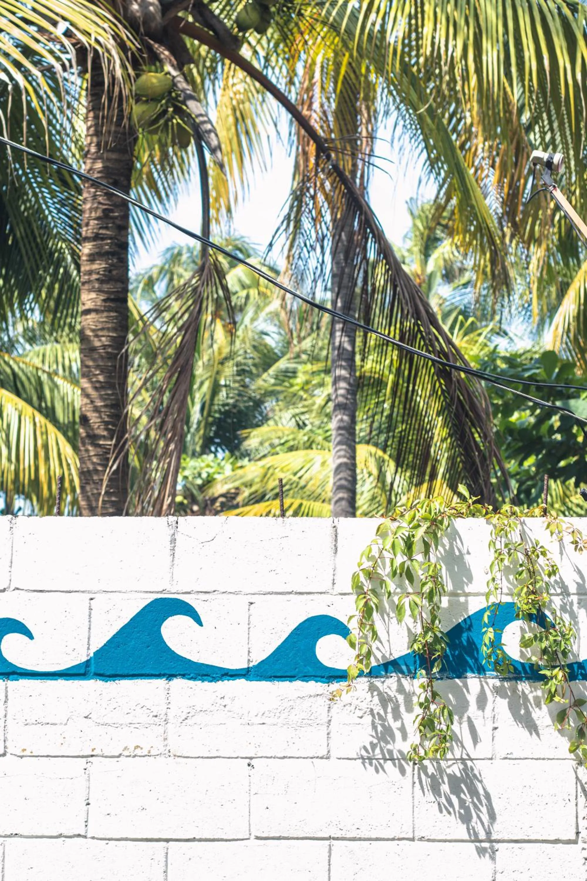 Property building in Olas Permanentes El Zonte