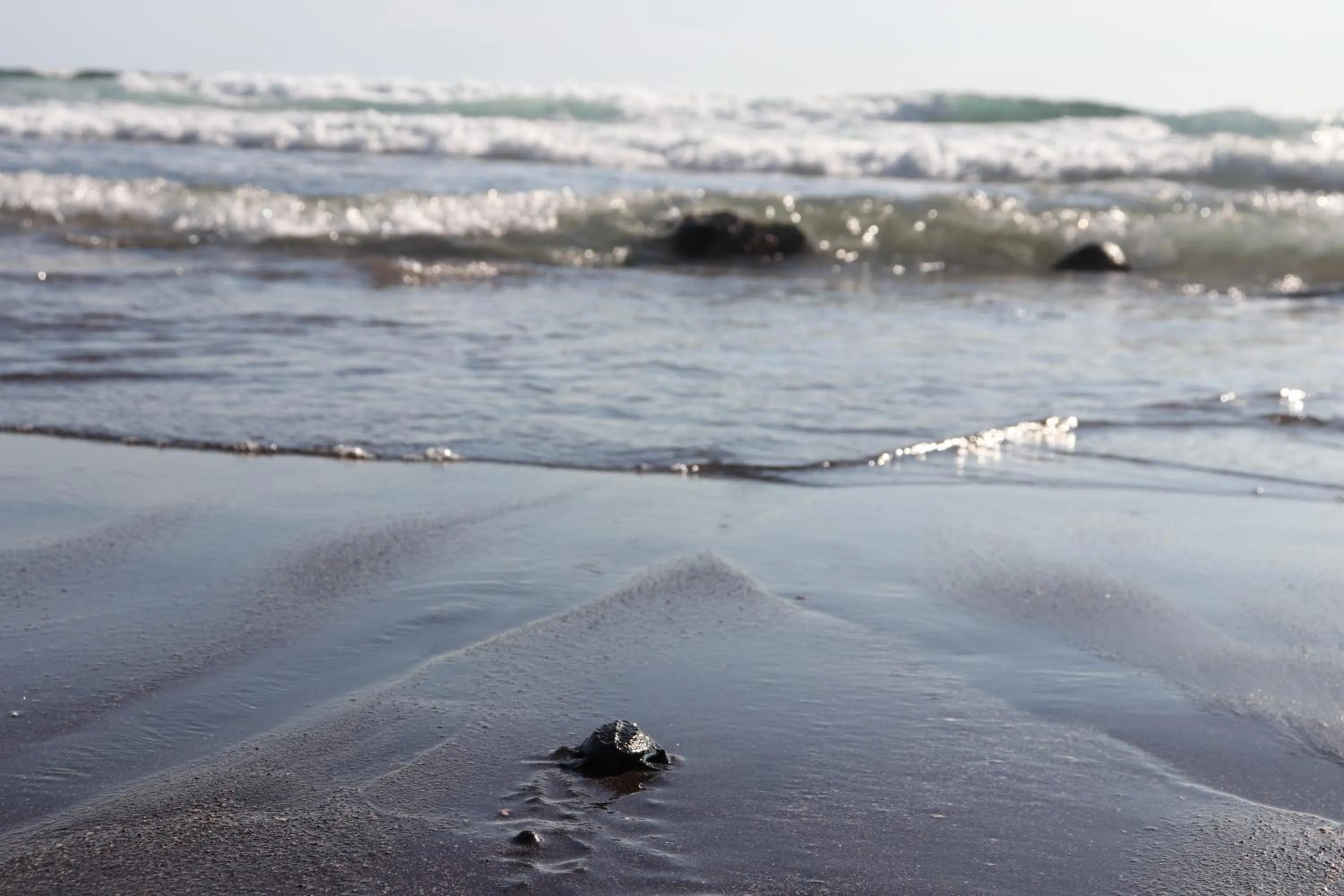 Sea view in Olas Permanentes El Zonte