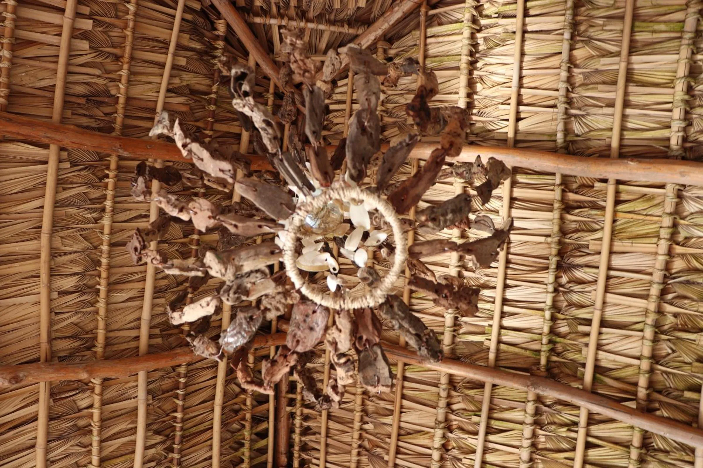 Decorative detail in Olas Permanentes El Zonte