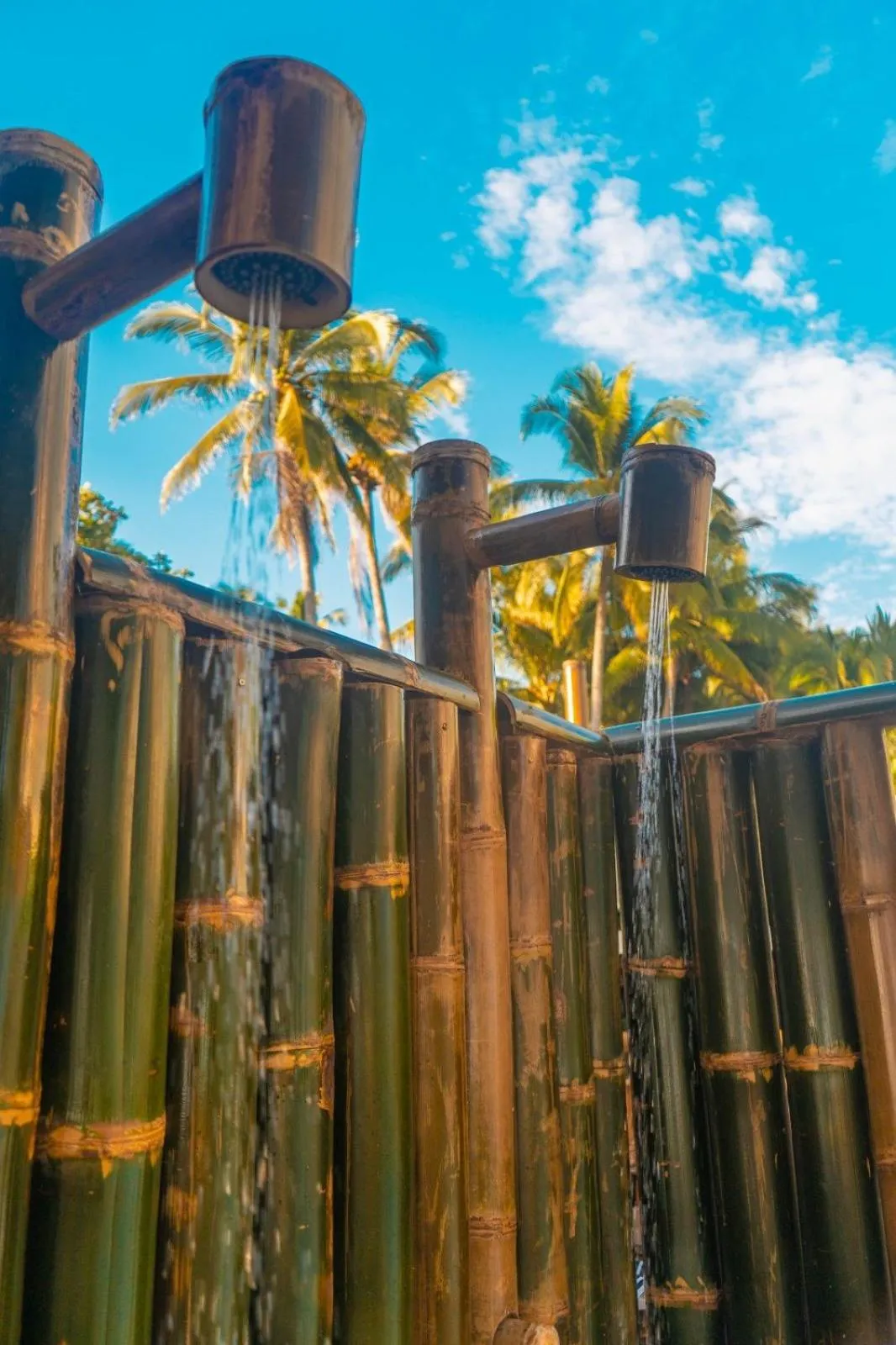 Olas Permanentes El Zonte