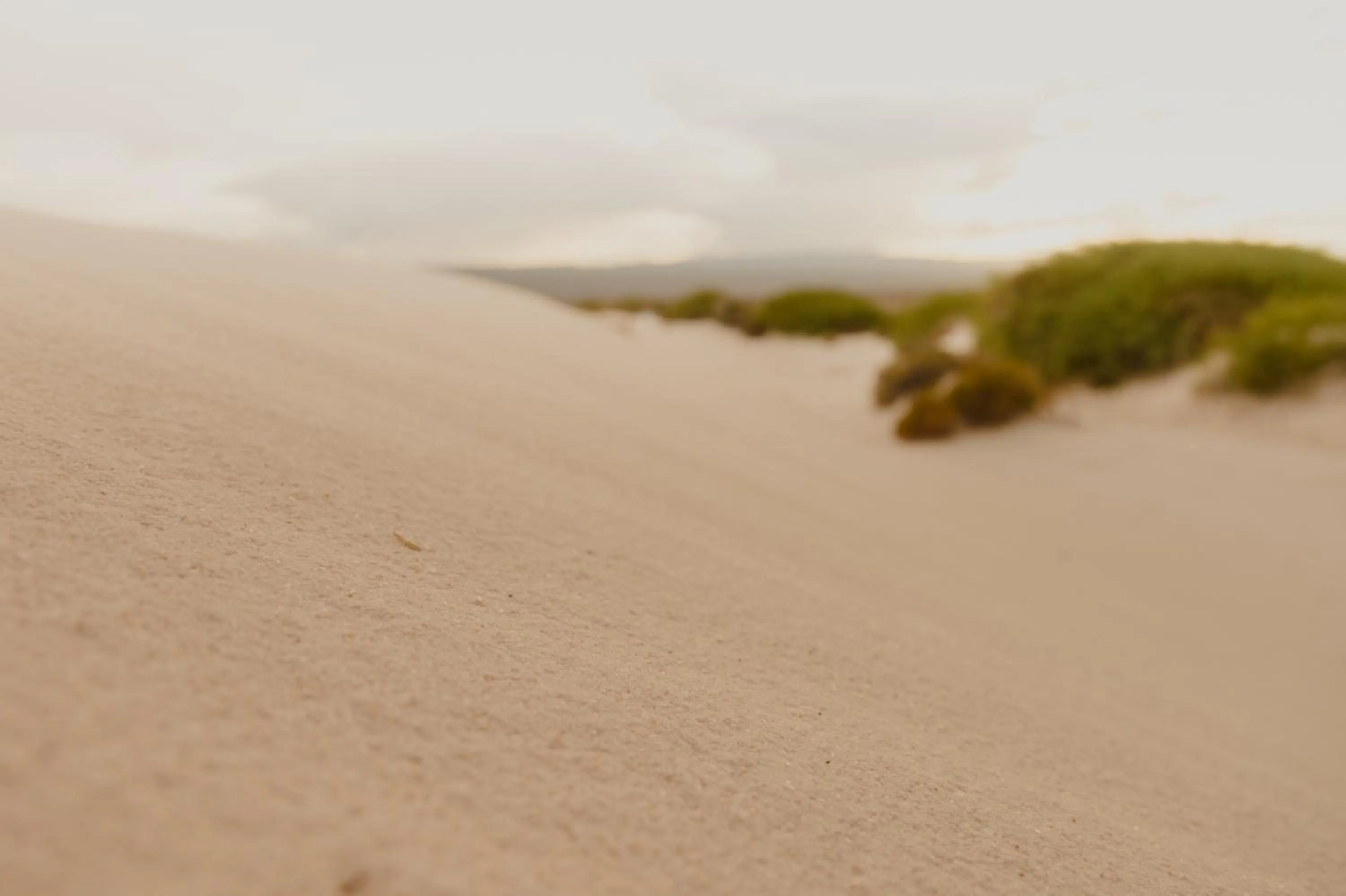 Natural landscape in Hacienda Viga 2020 Hotel
