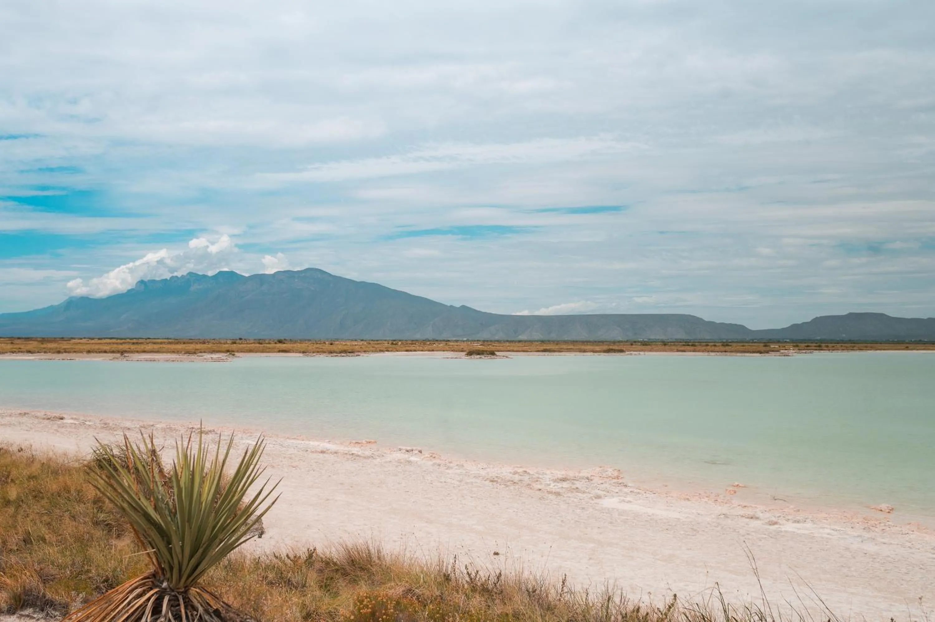 Natural landscape in Hacienda Viga 2020 Hotel