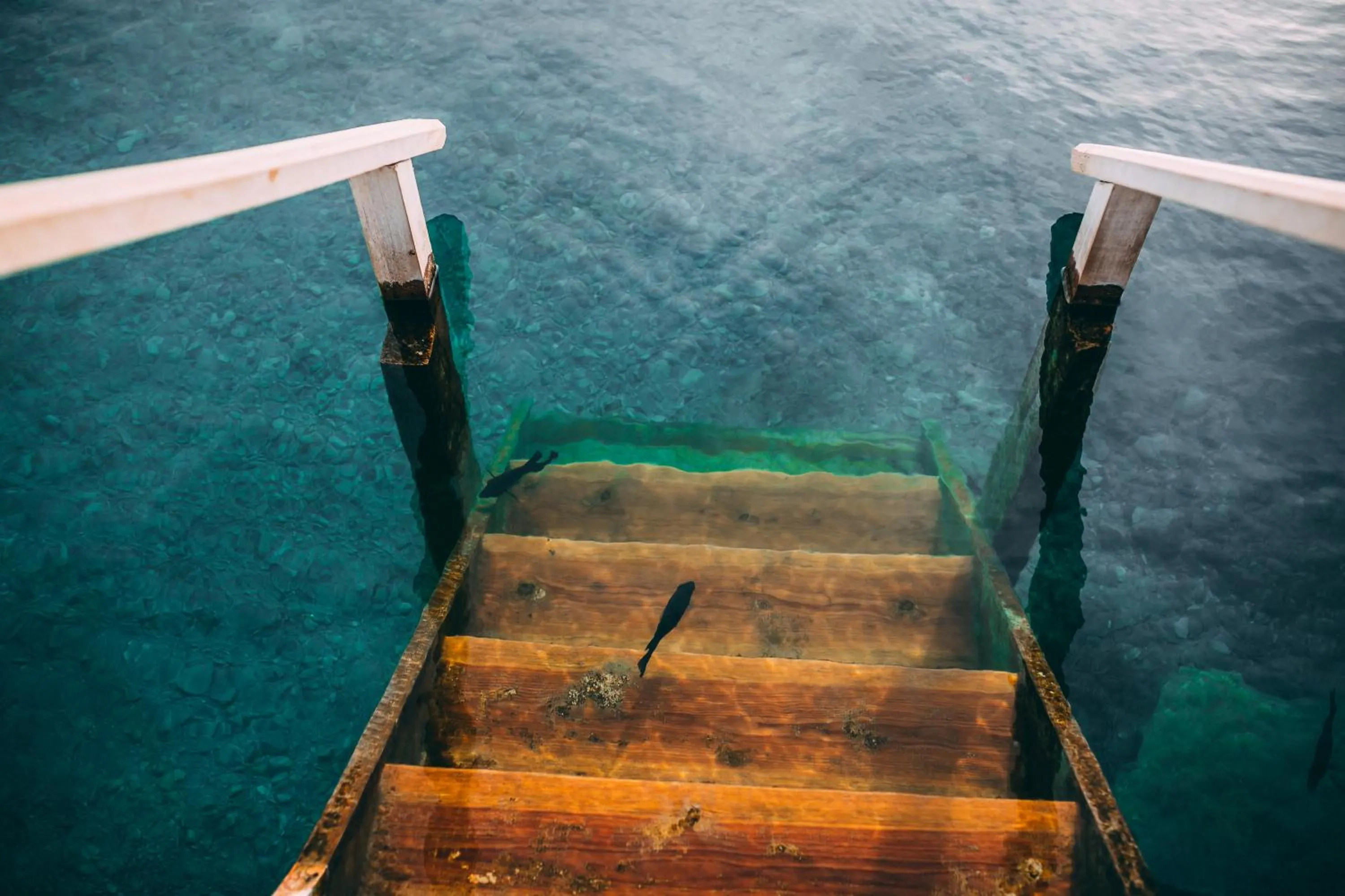 Natural landscape in Hacienda Viga 2020 Hotel