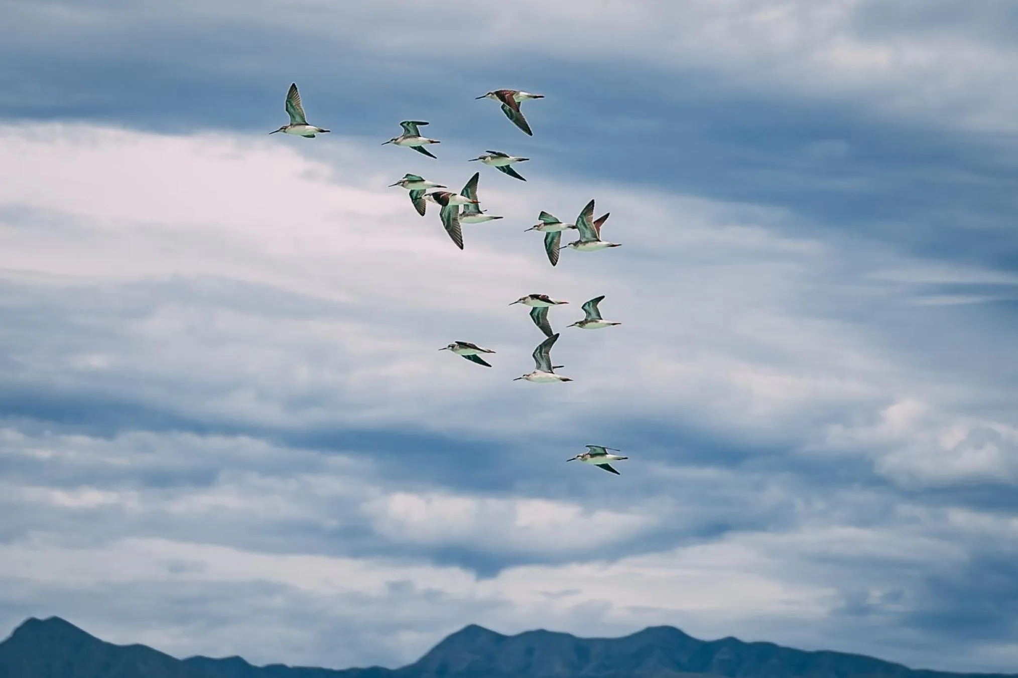 Natural landscape in Hacienda Viga 2020 Hotel