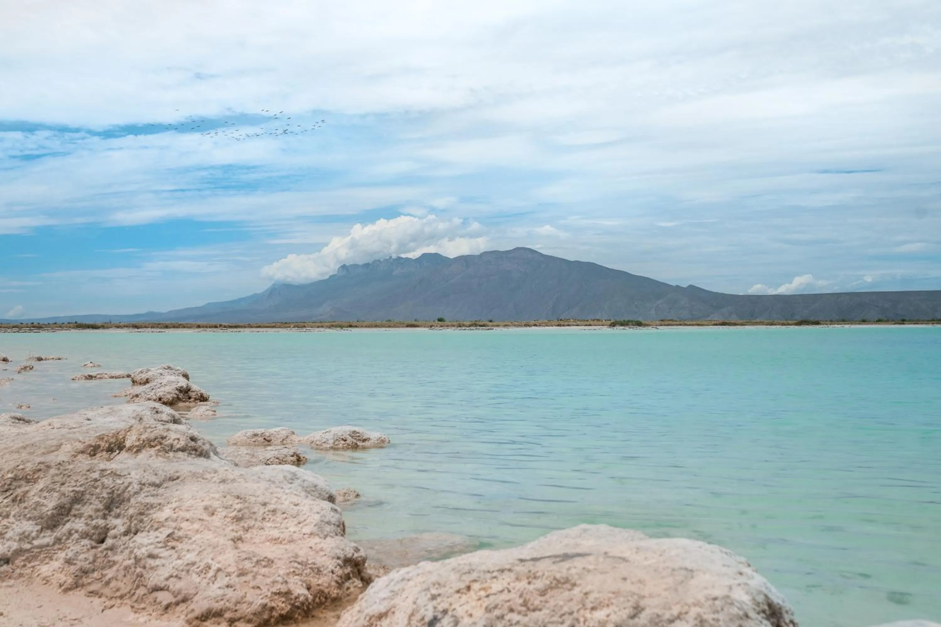 Natural landscape in Hacienda Viga 2020 Hotel