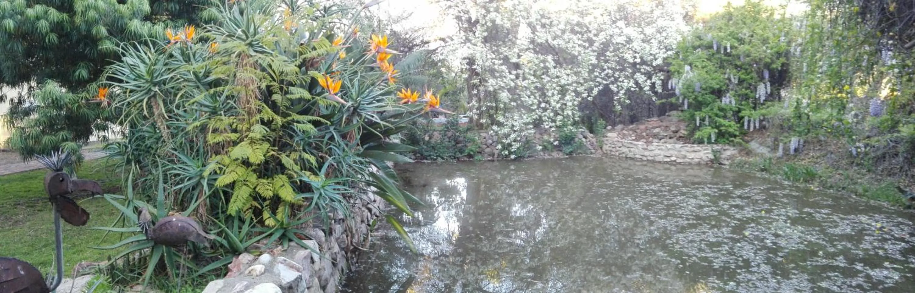 Garden in Saxe-Coburg Lodge