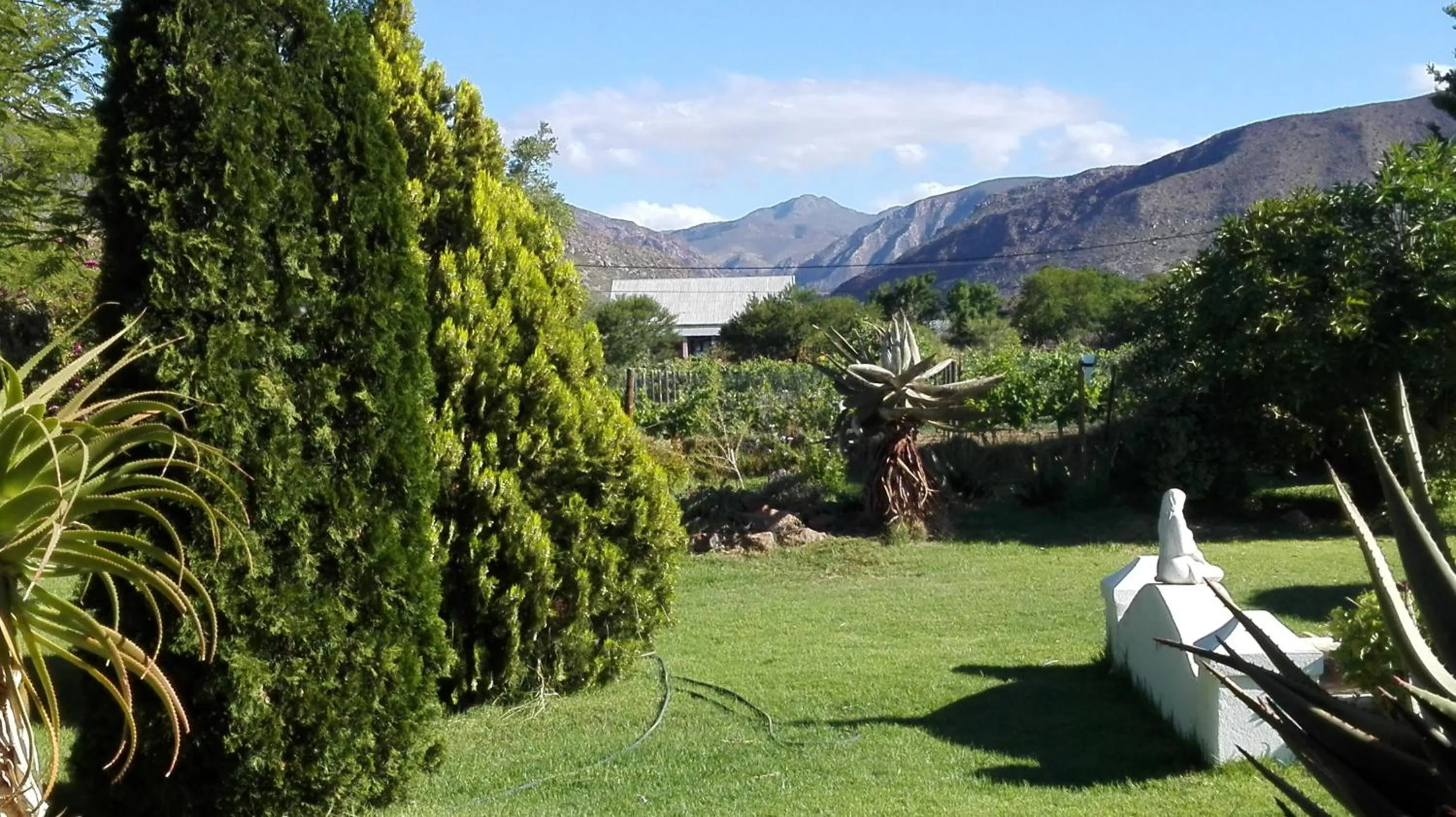 Garden in Saxe-Coburg Lodge