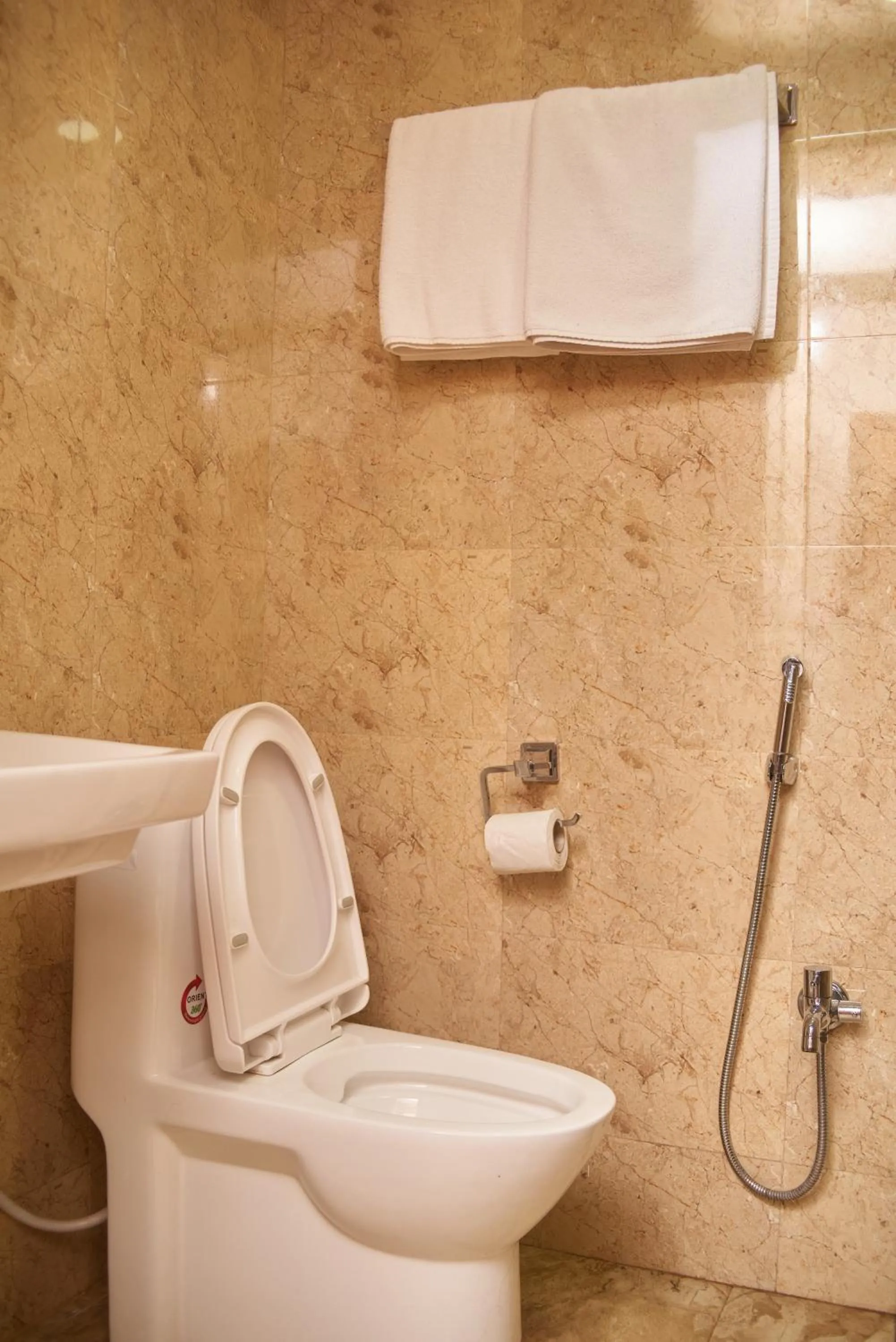 Toilet in Hotel Tulsi