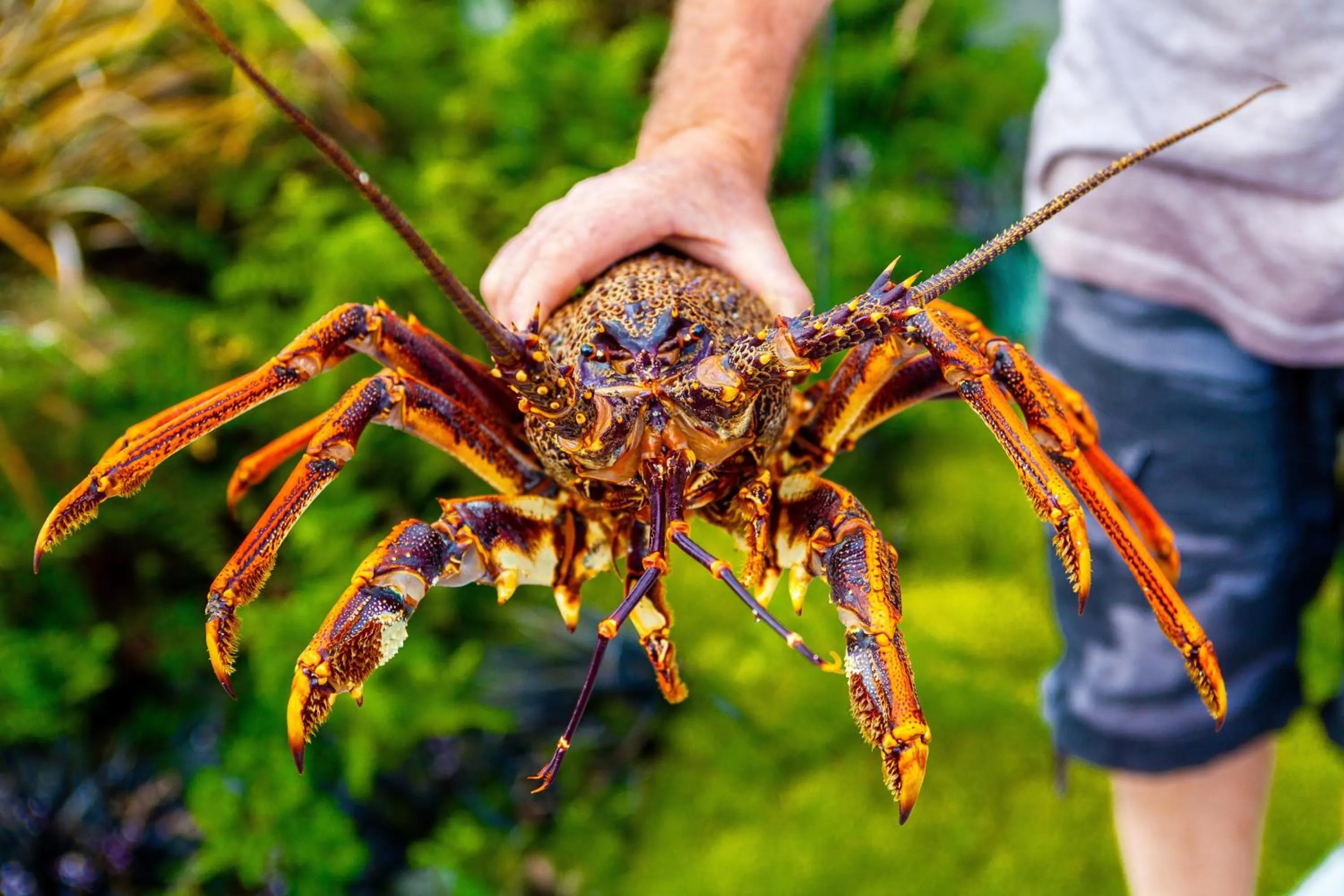 Animals in The Factory Luxury Accomodation