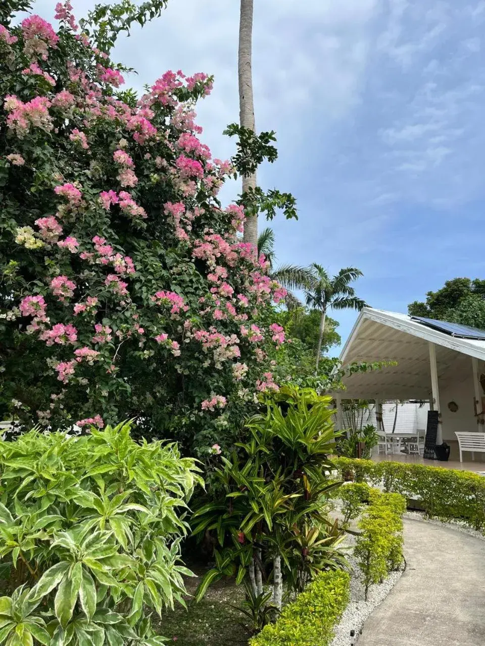 Coco Beach Resort Coco Beach Resort