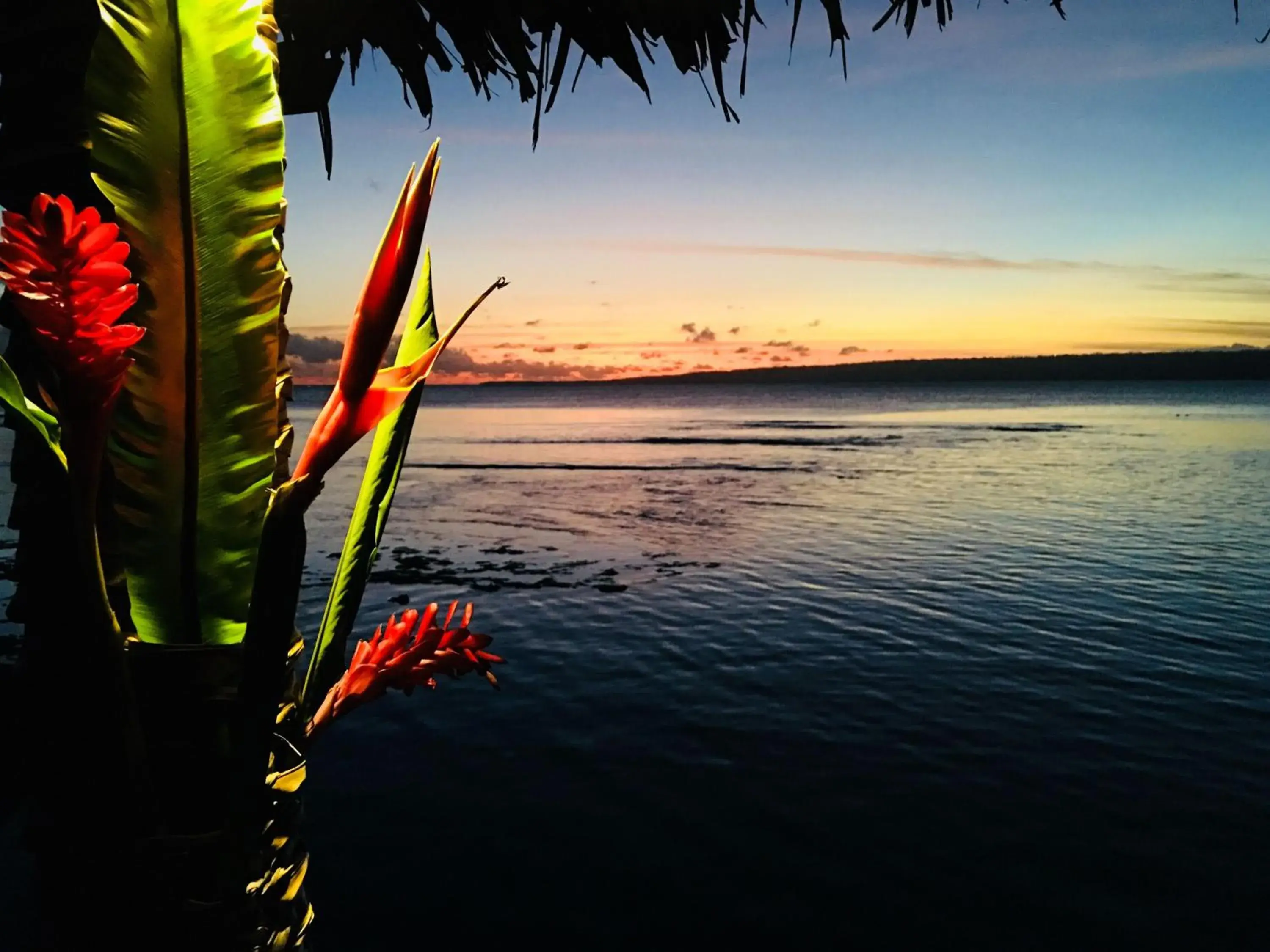 Sea view in Coco Beach Resort Sea view in Coco Beach Resort