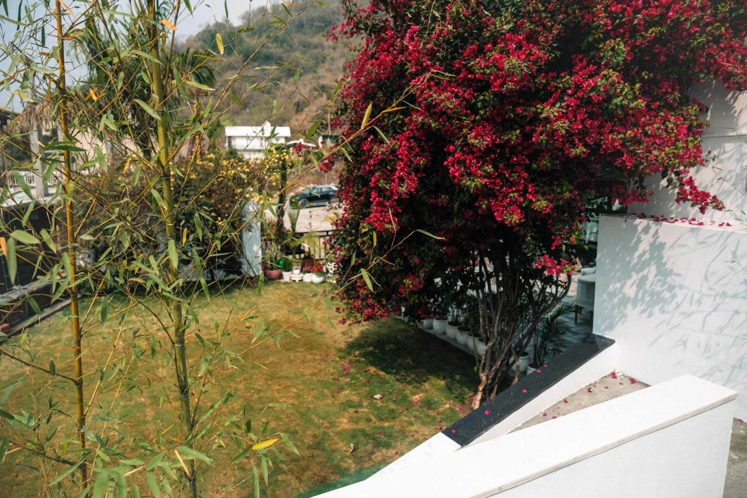 Day in The Bougainvillea Retreat - A Luxury Private Pool Villa in Dehradun