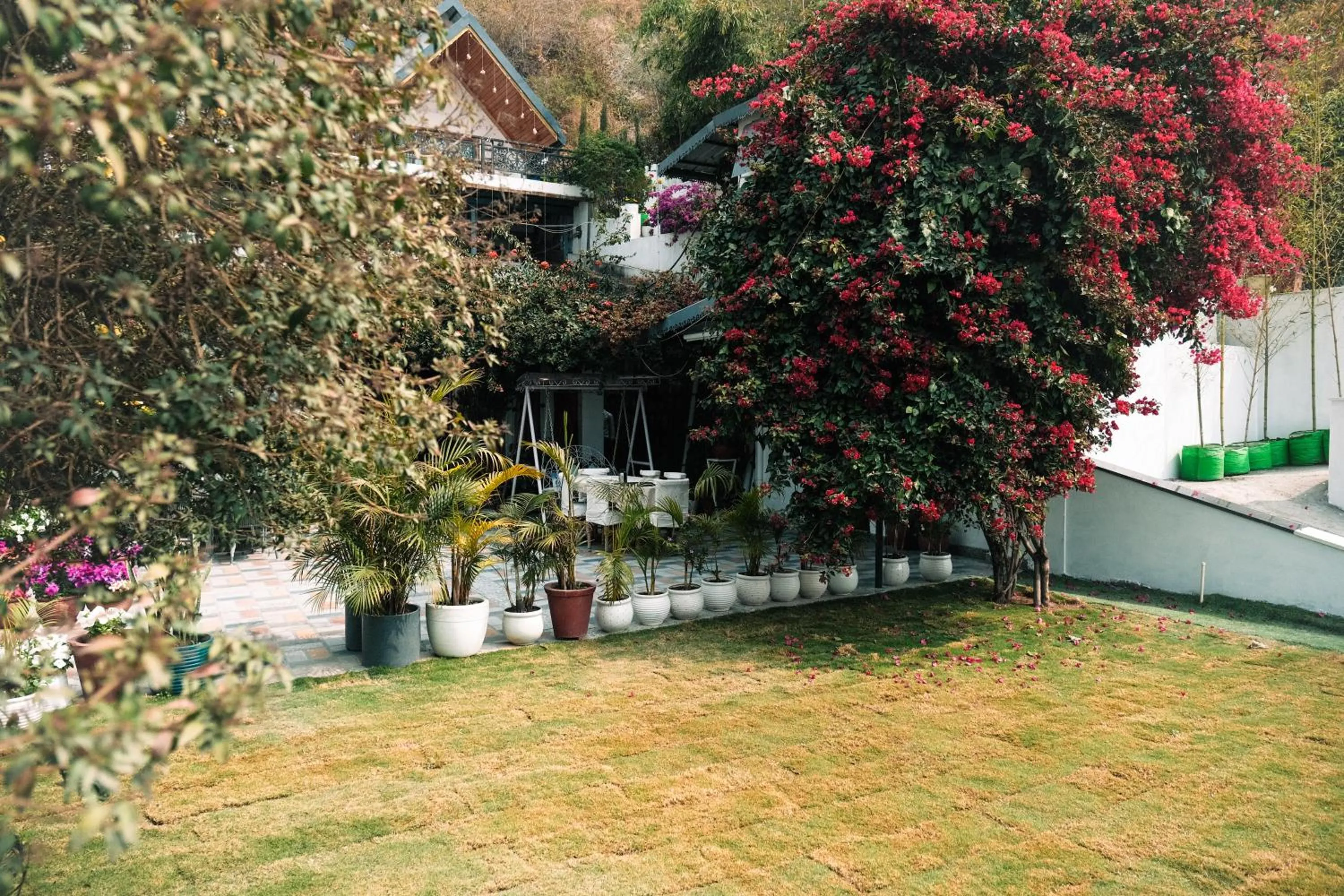 Property building in The Bougainvillea Retreat - A Luxury Private Pool Villa in Dehradun