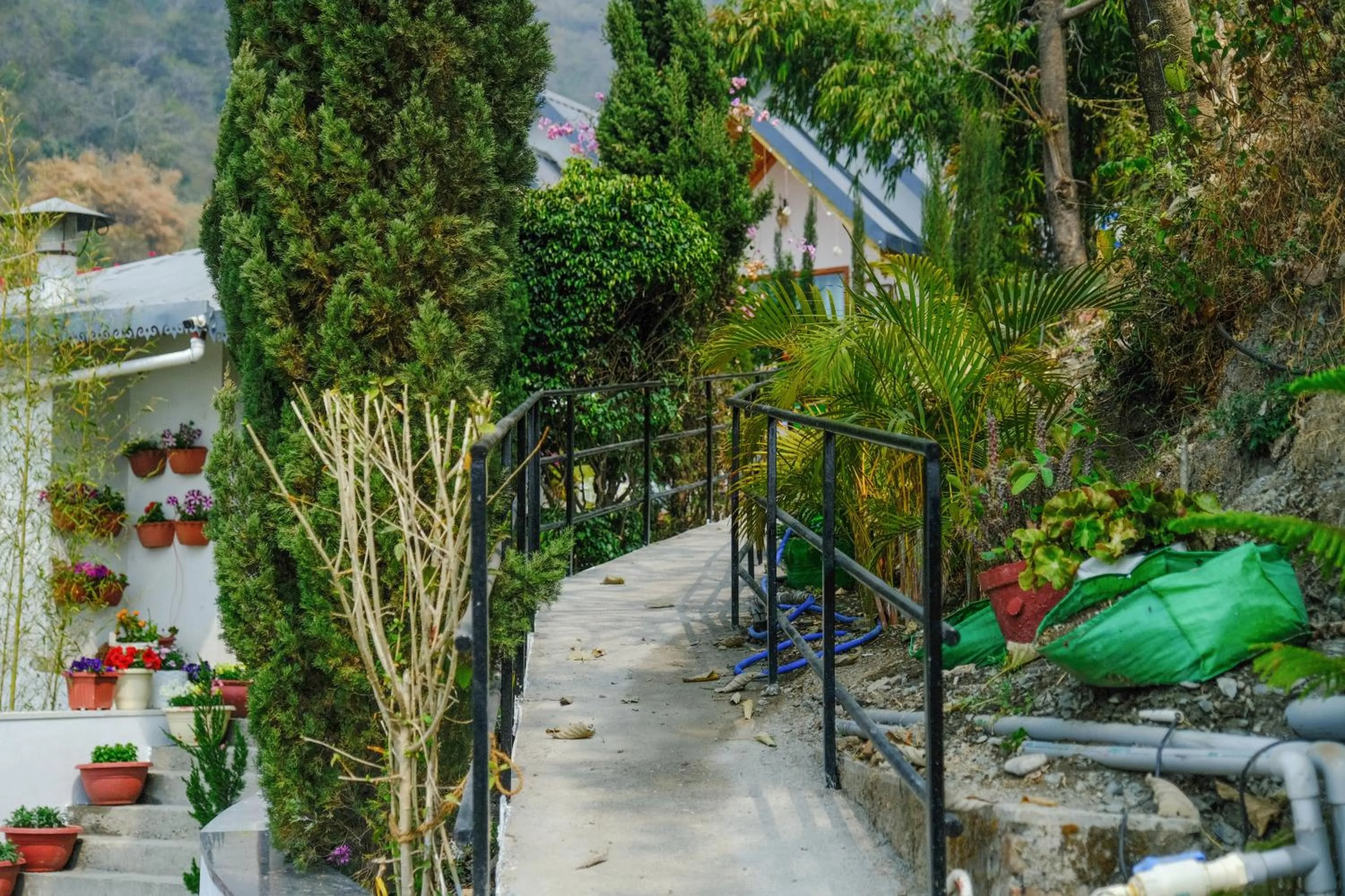 Day in The Bougainvillea Retreat - A Luxury Private Pool Villa in Dehradun
